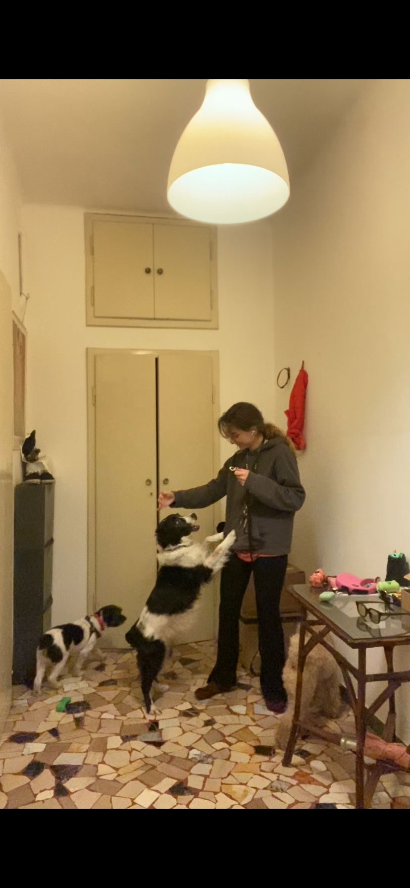 image-8