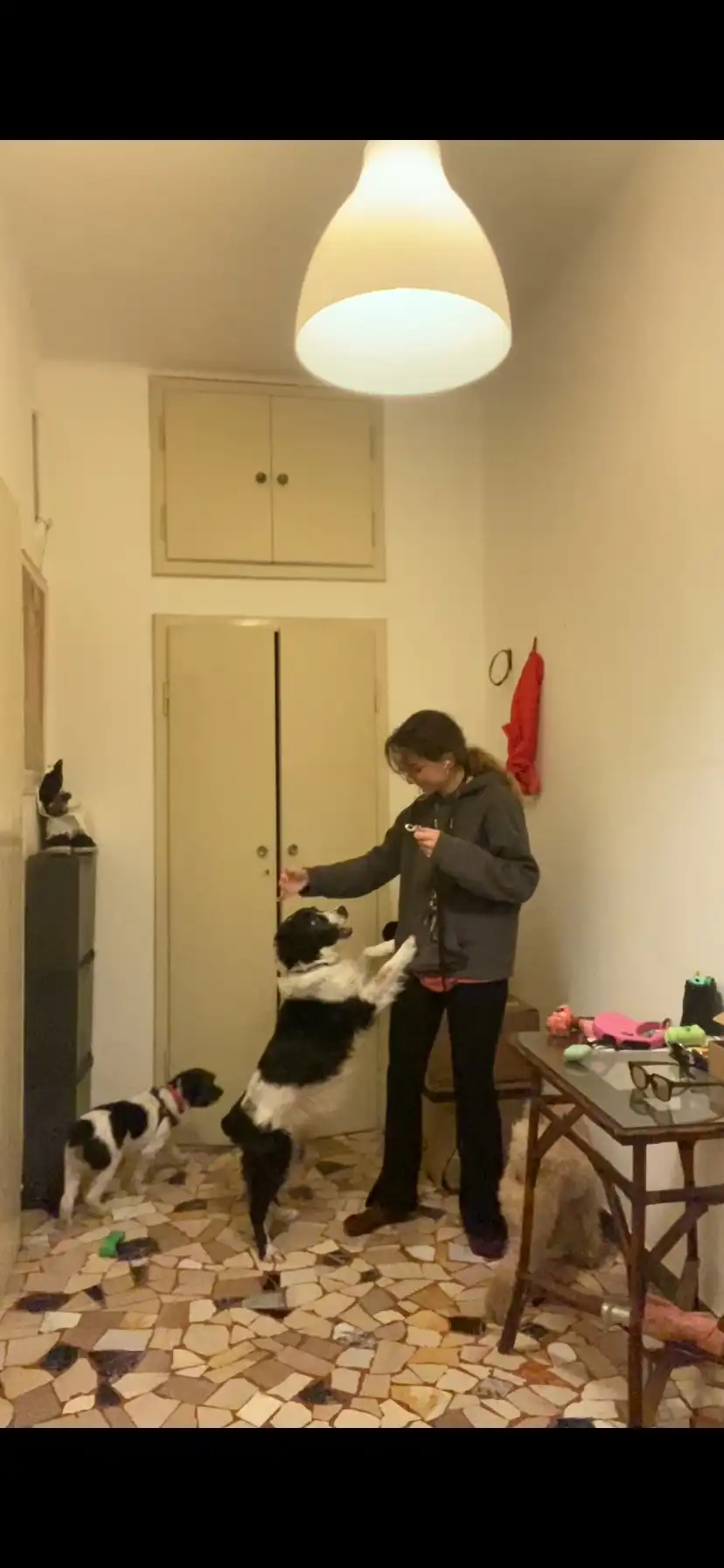 image-8