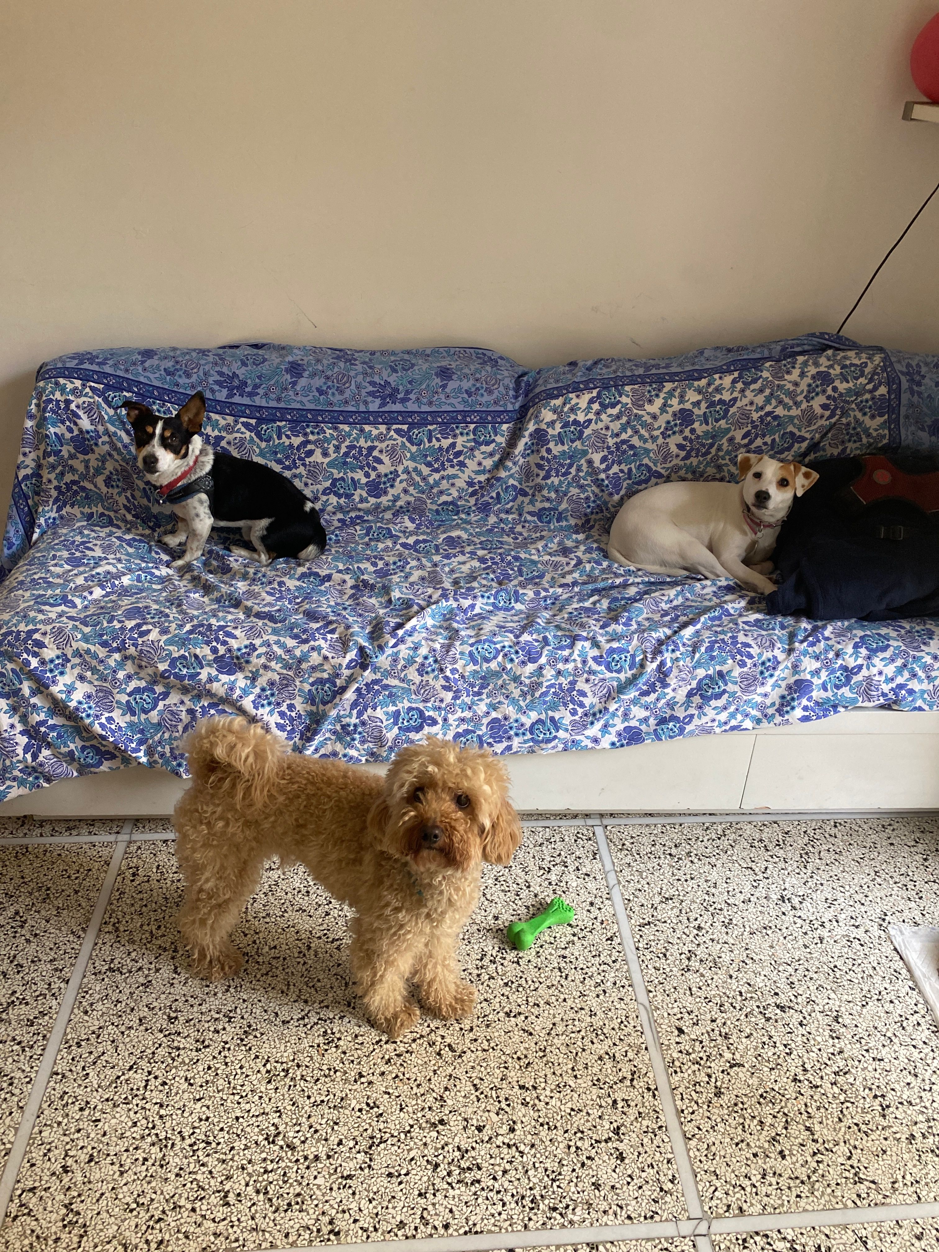image-14
