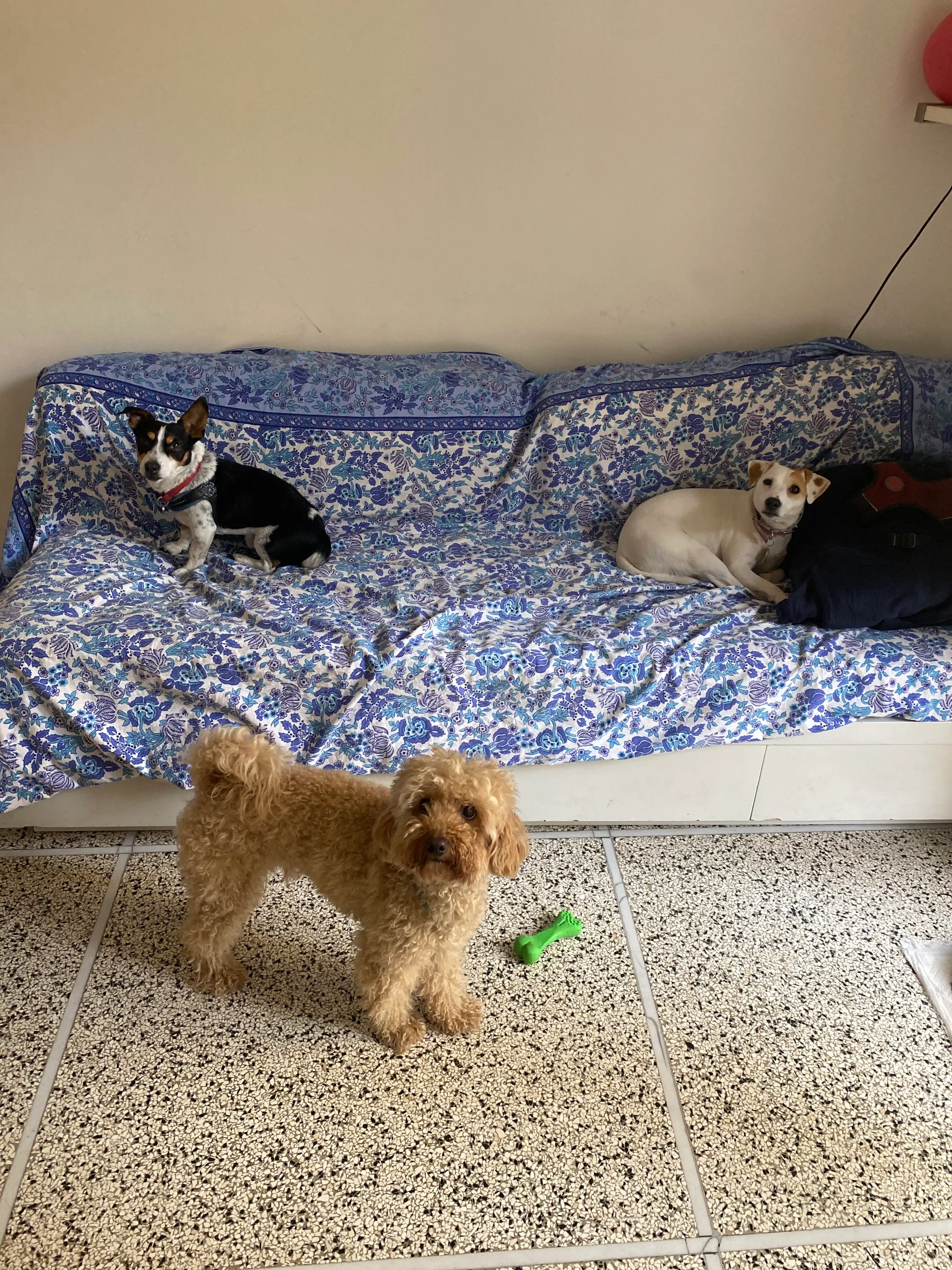 image-14