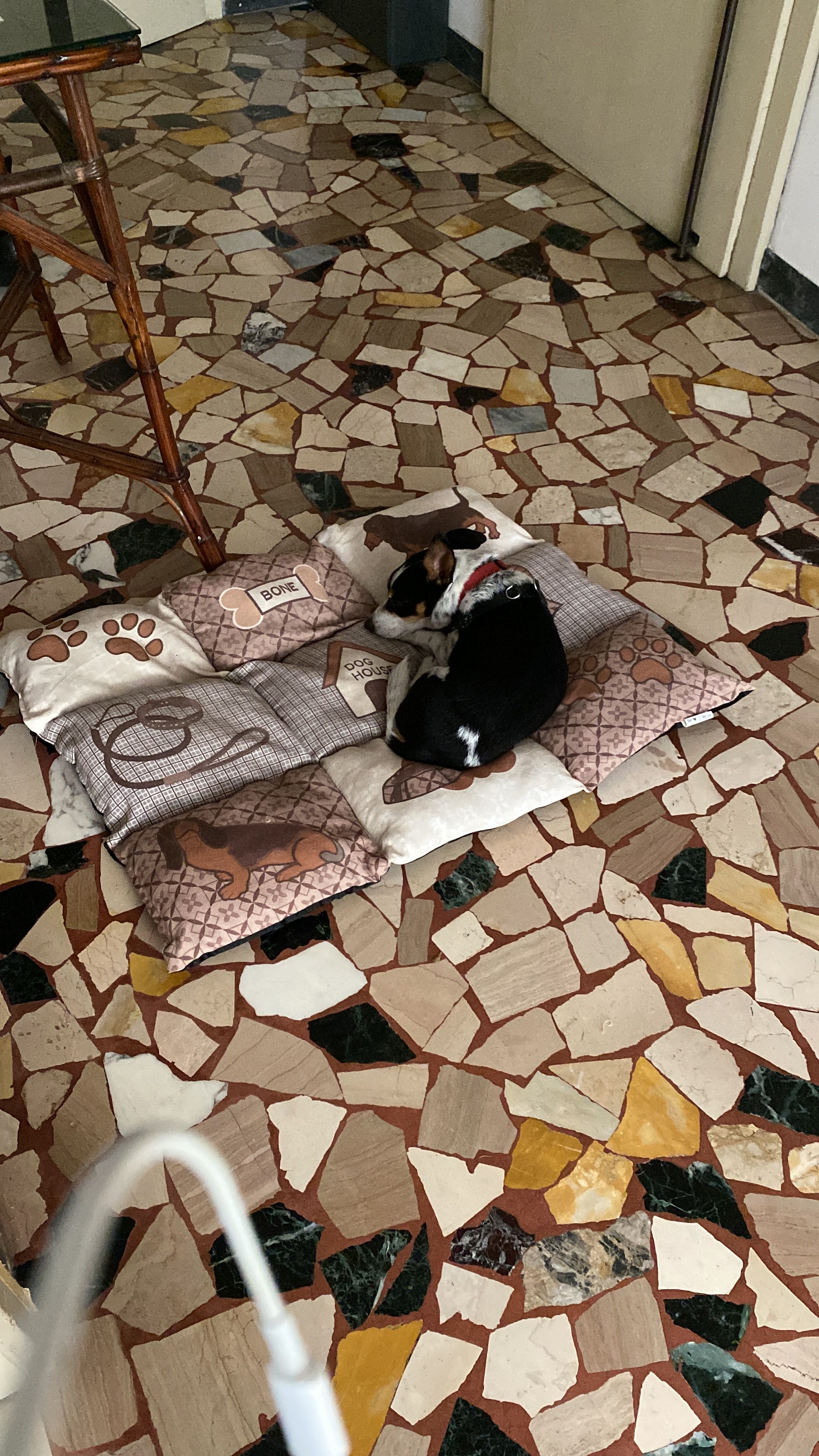 image-15