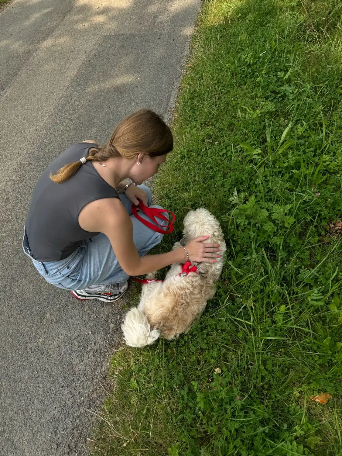 image-5