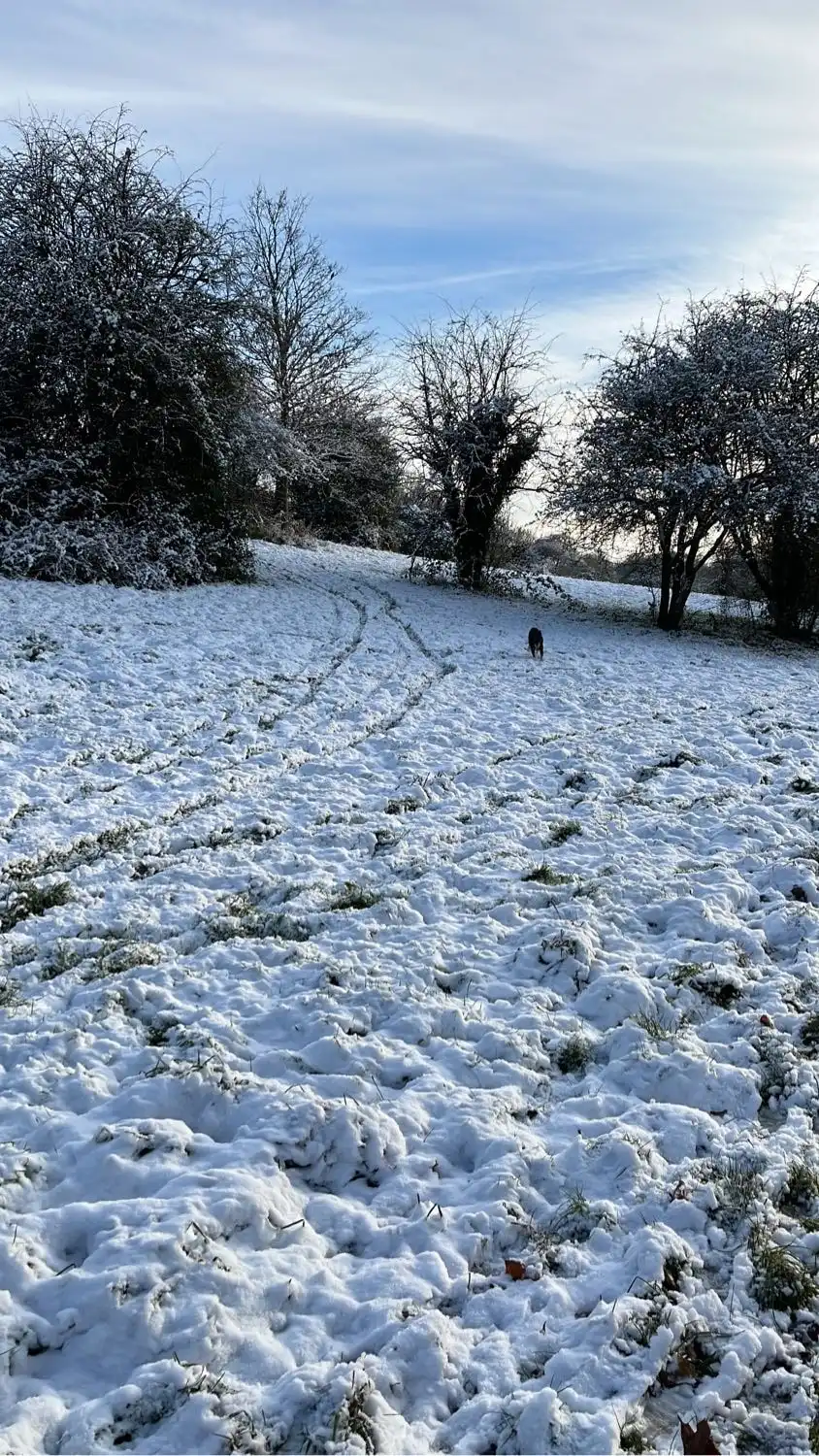 image-12