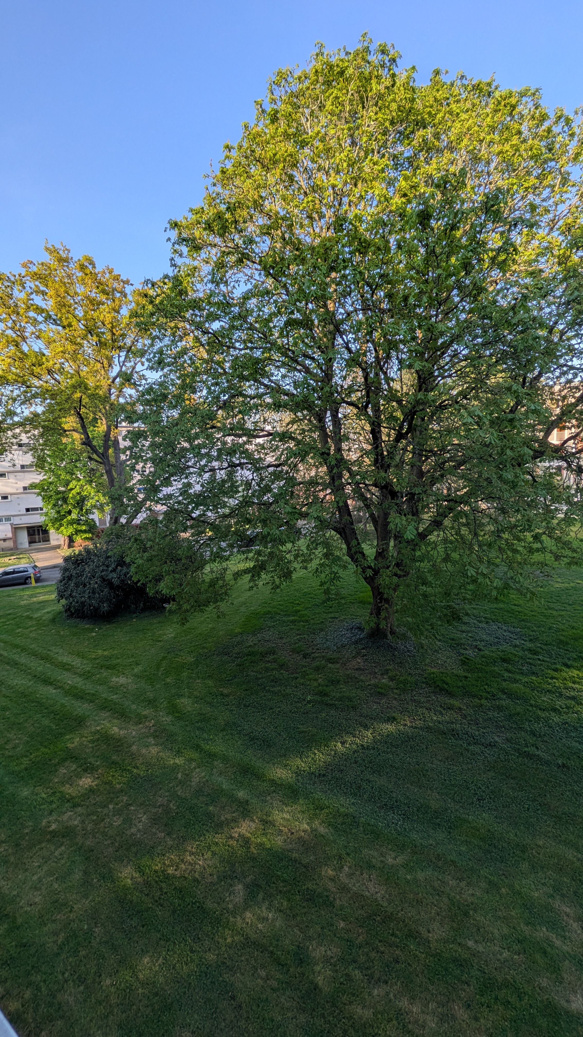 image-18