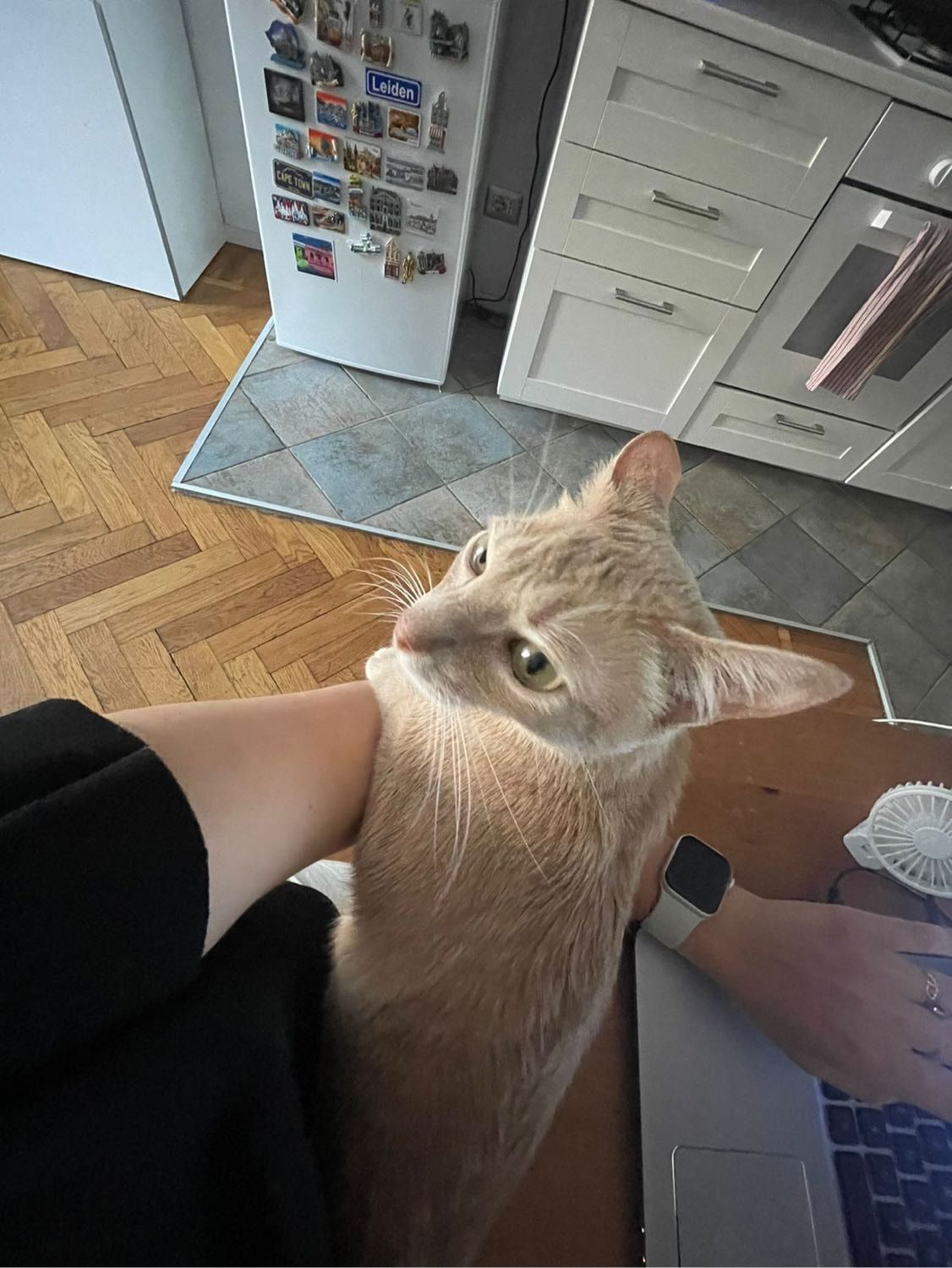 image-6