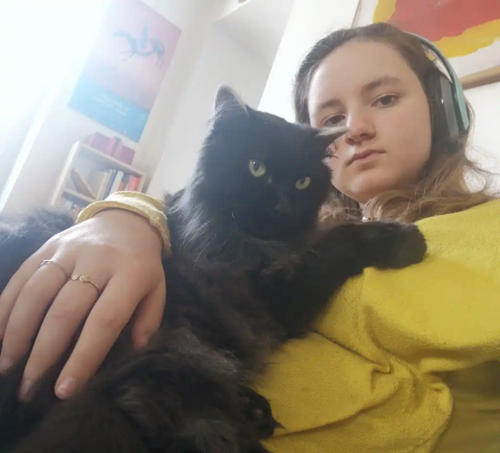 image-9