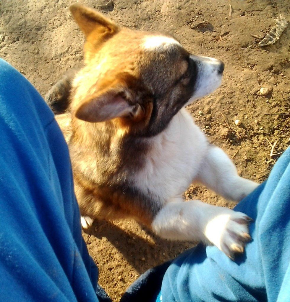 image-3