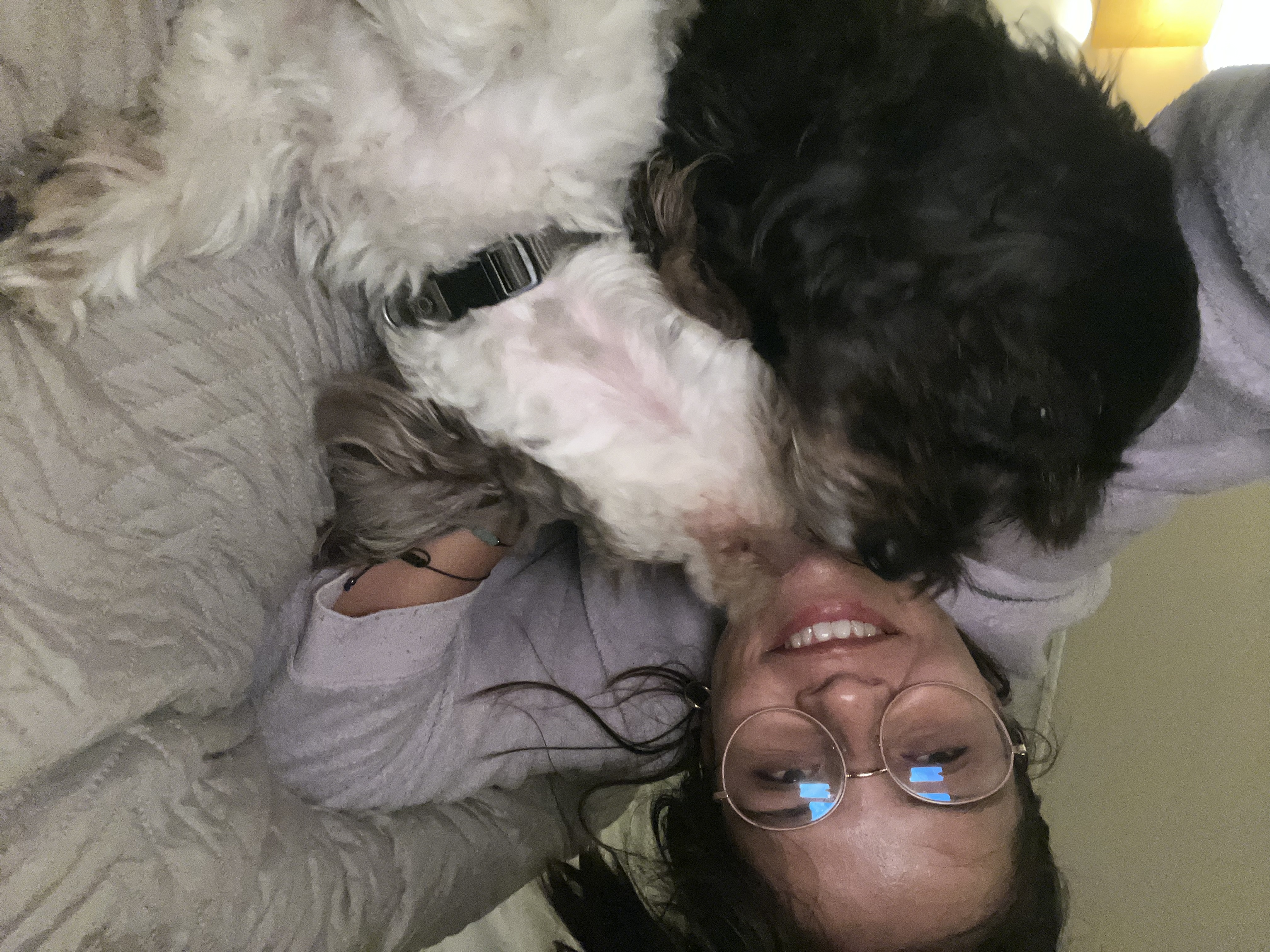 image-6