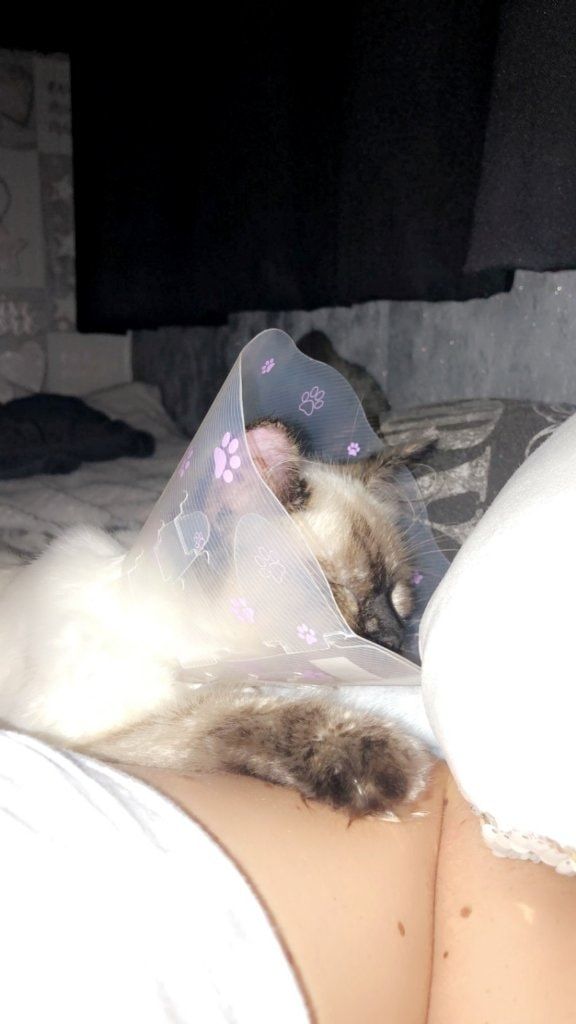 image-7