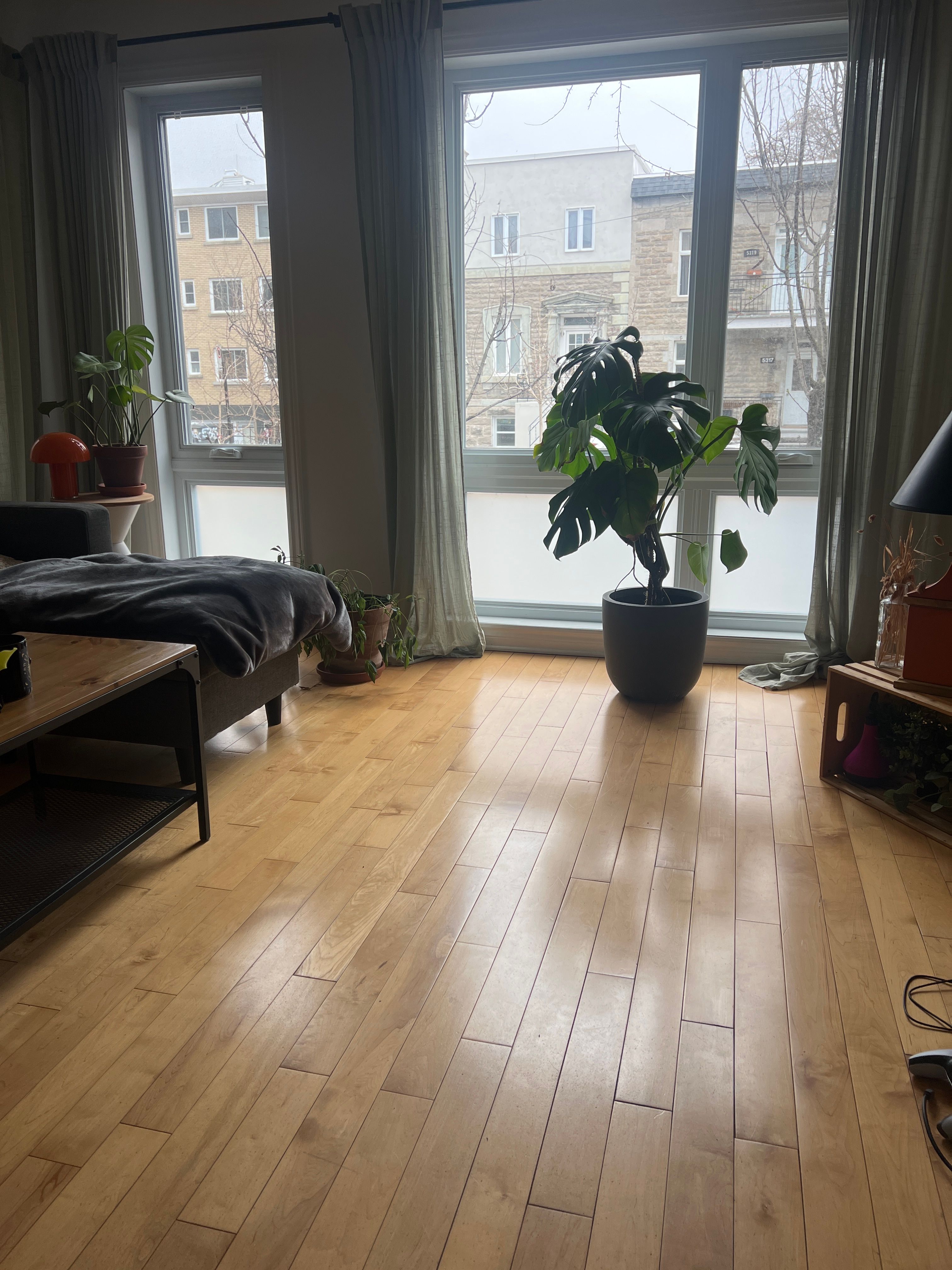 image-20