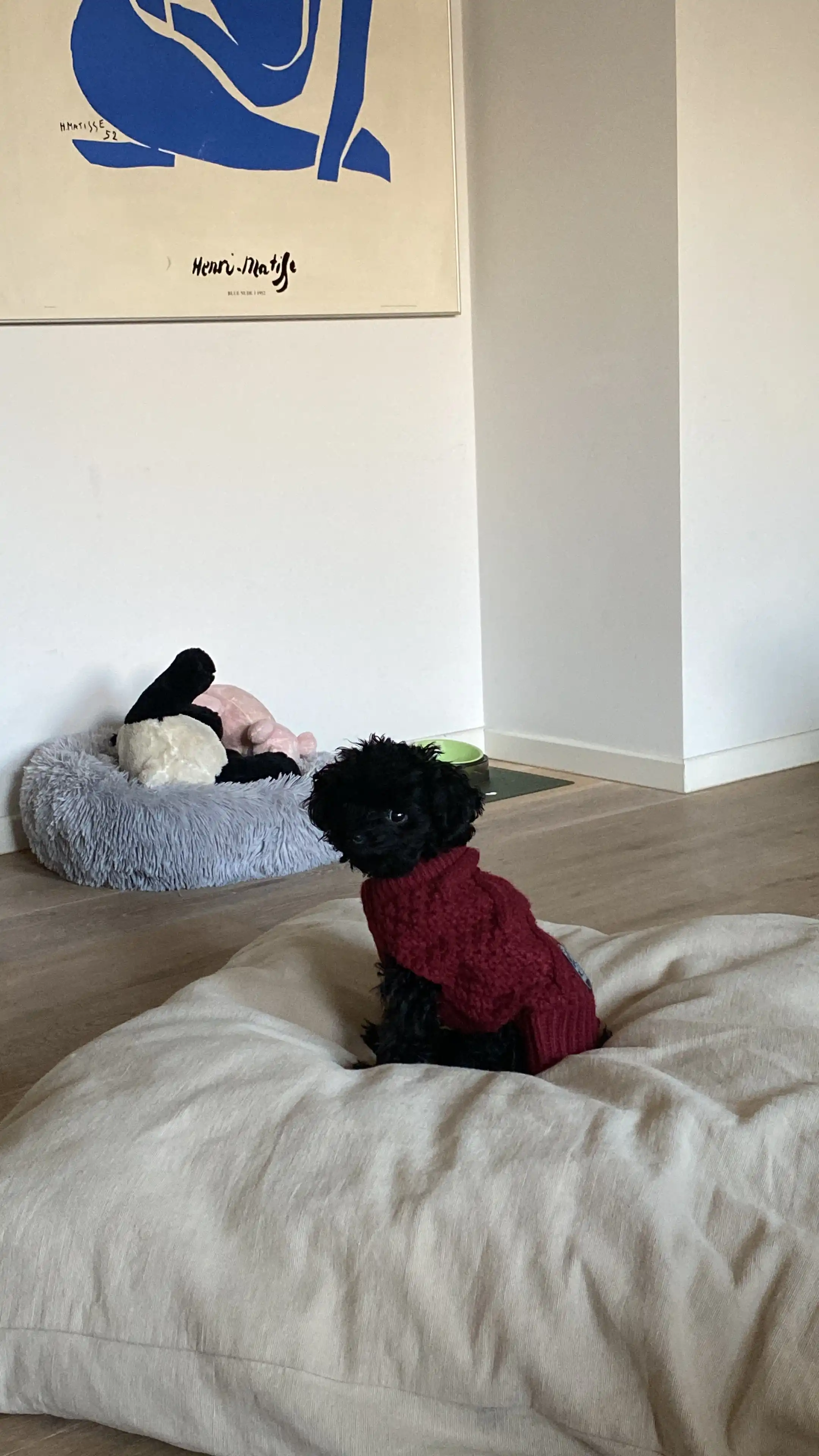 image-17