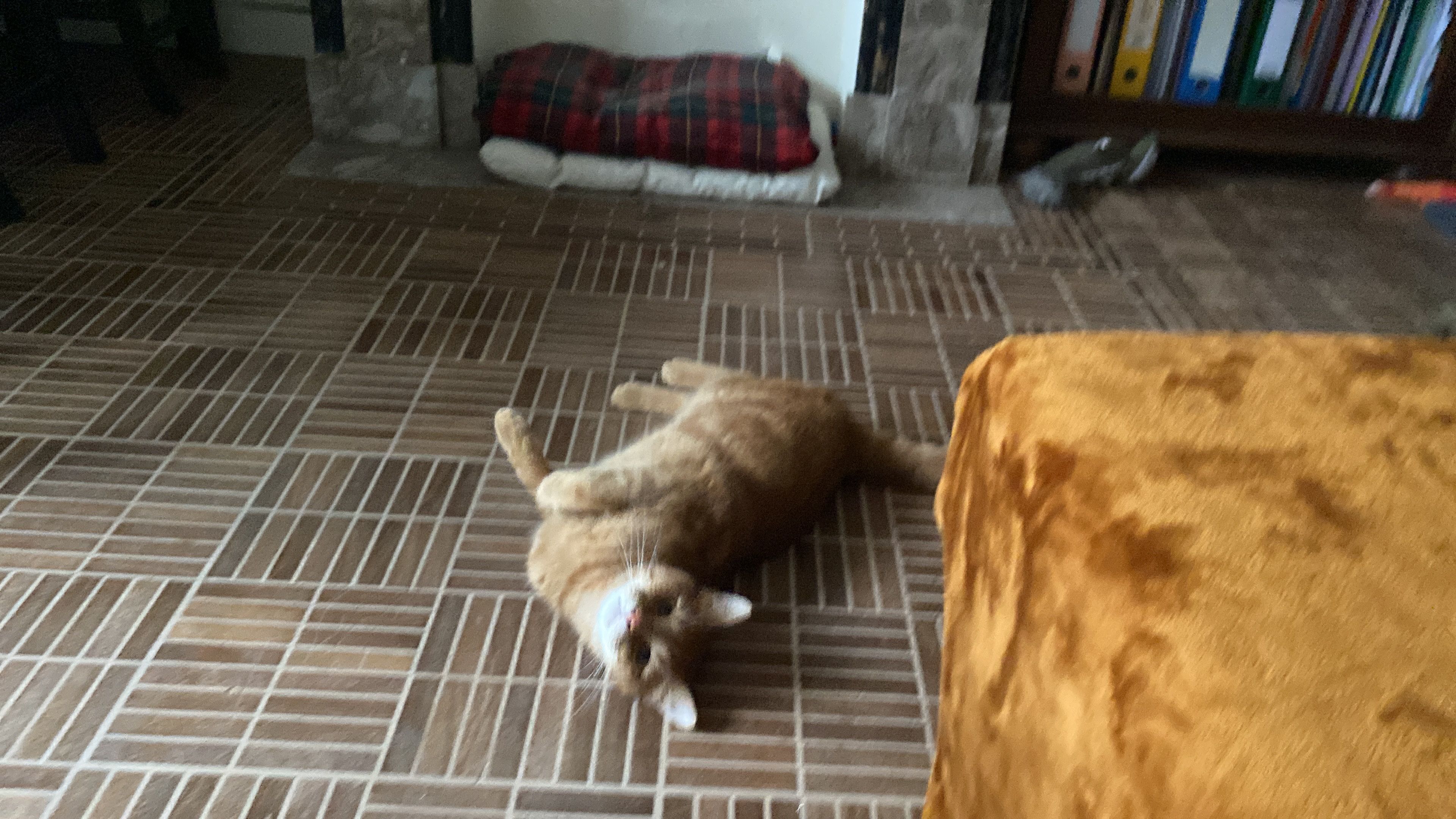 image-18