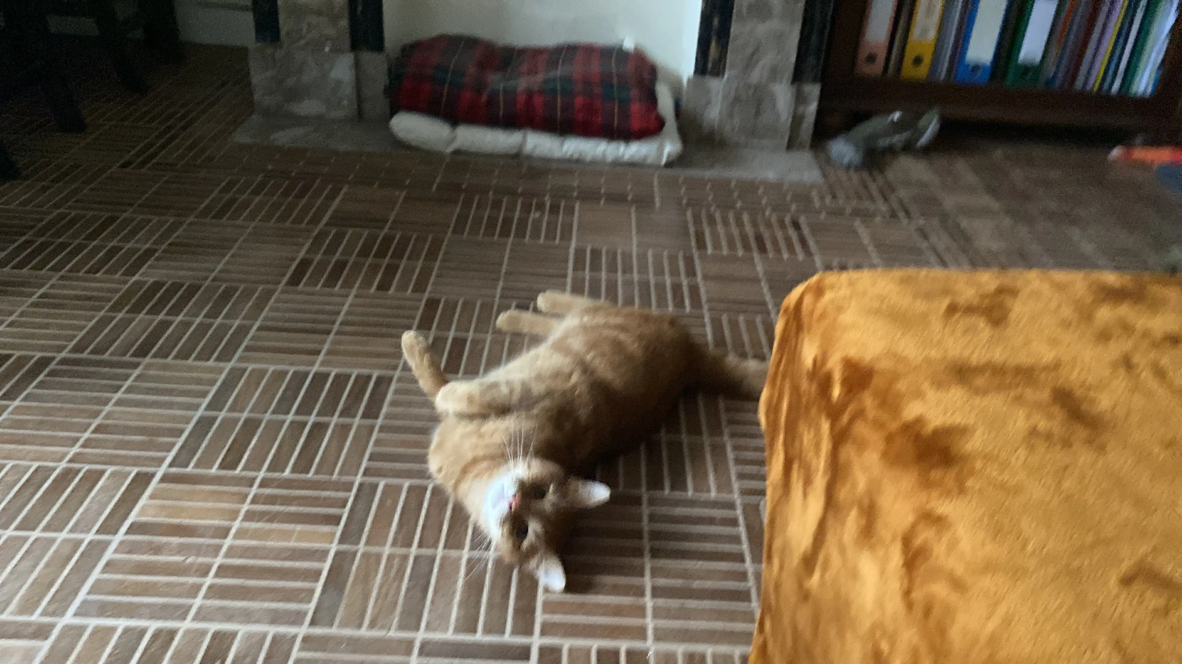 image-18
