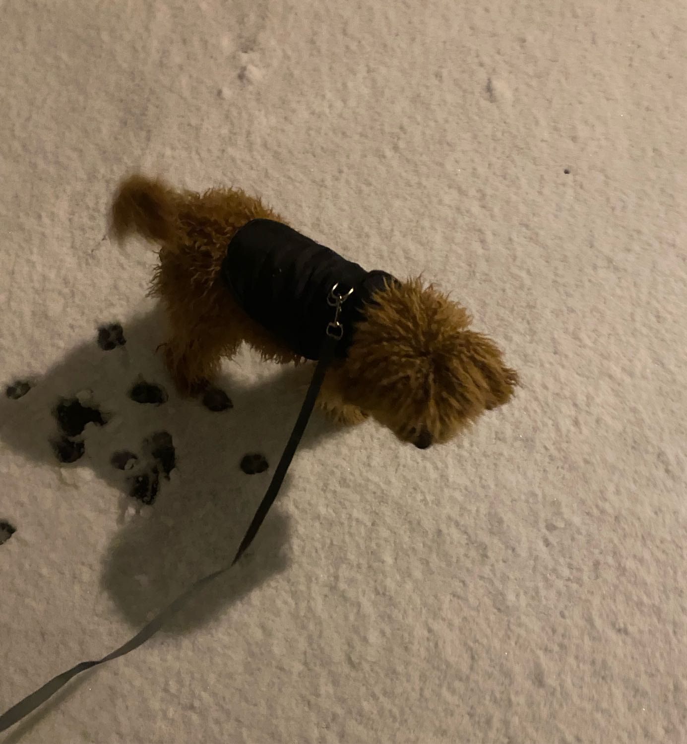 image-8