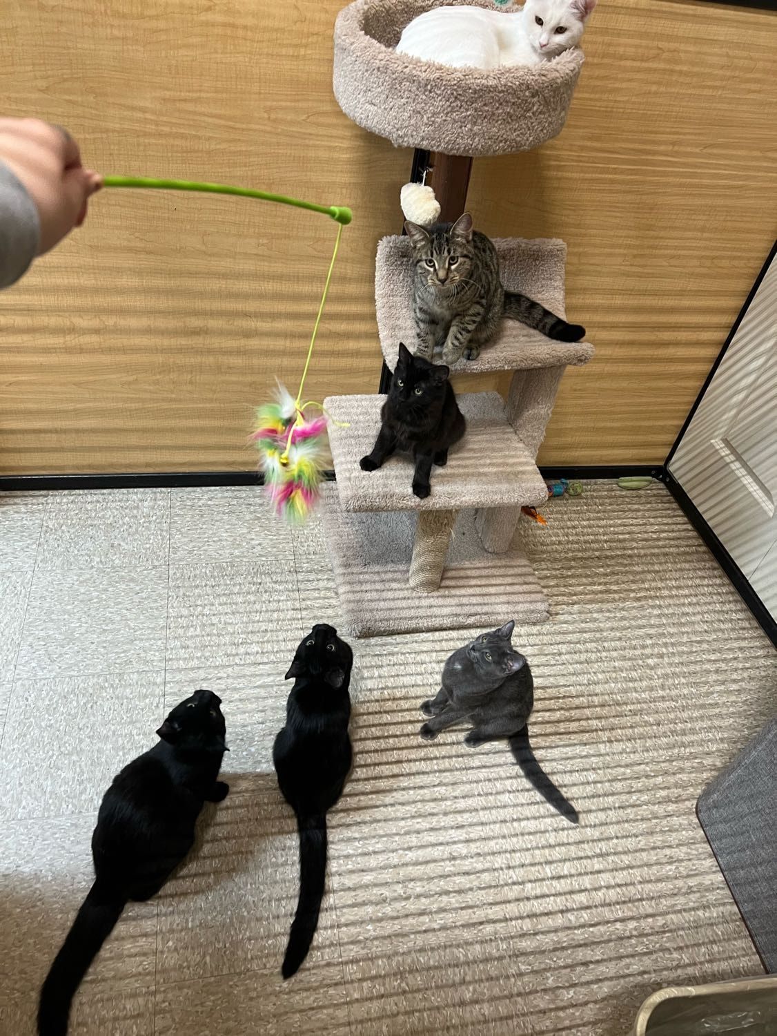 image-6