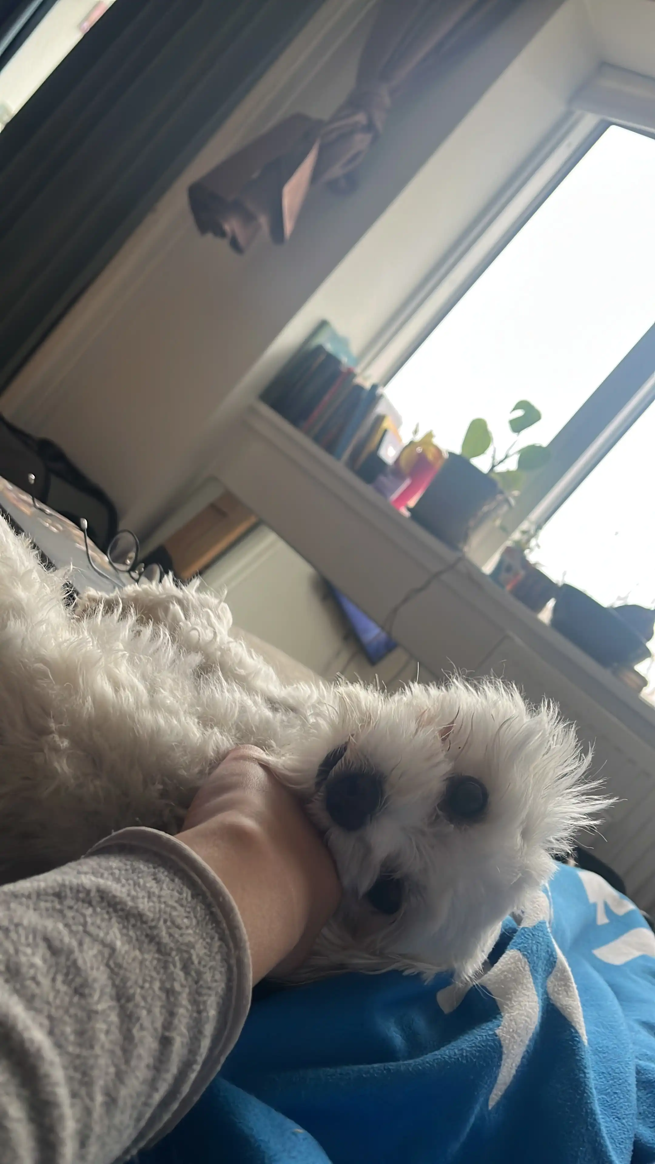 image-9