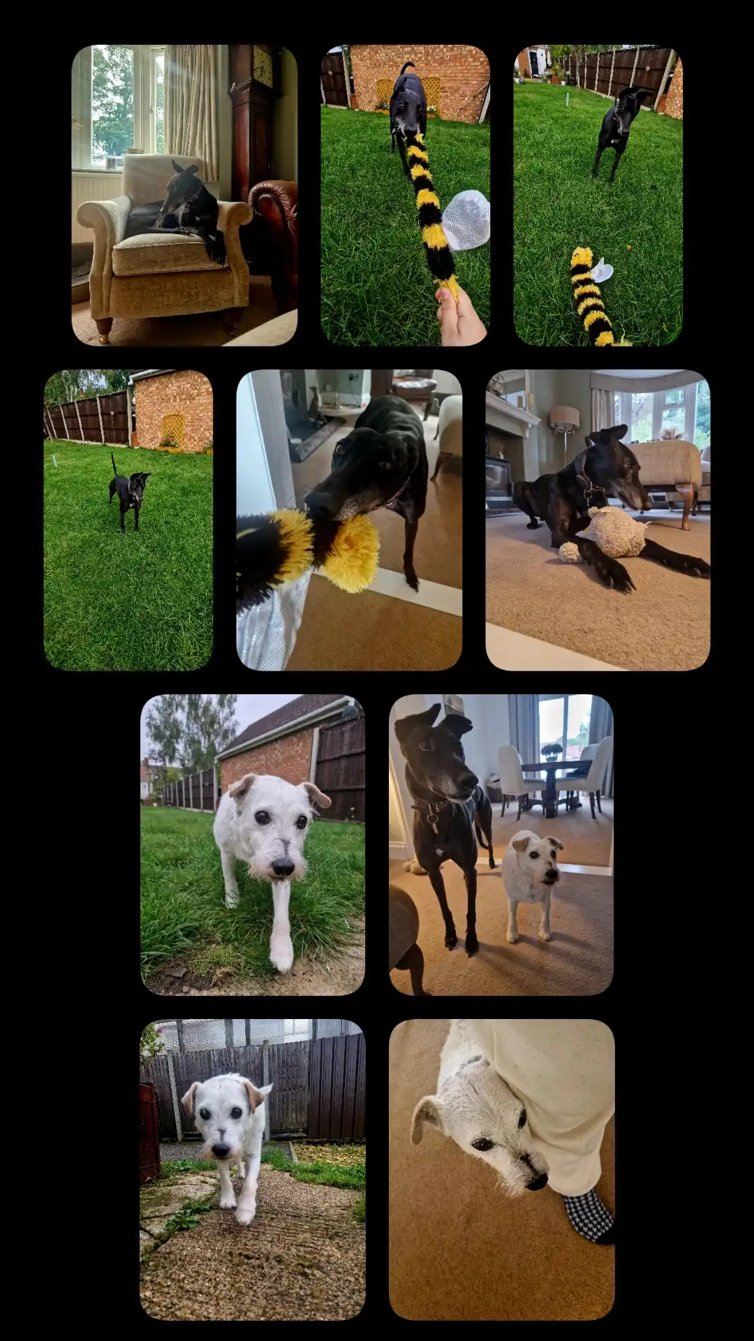 image-16