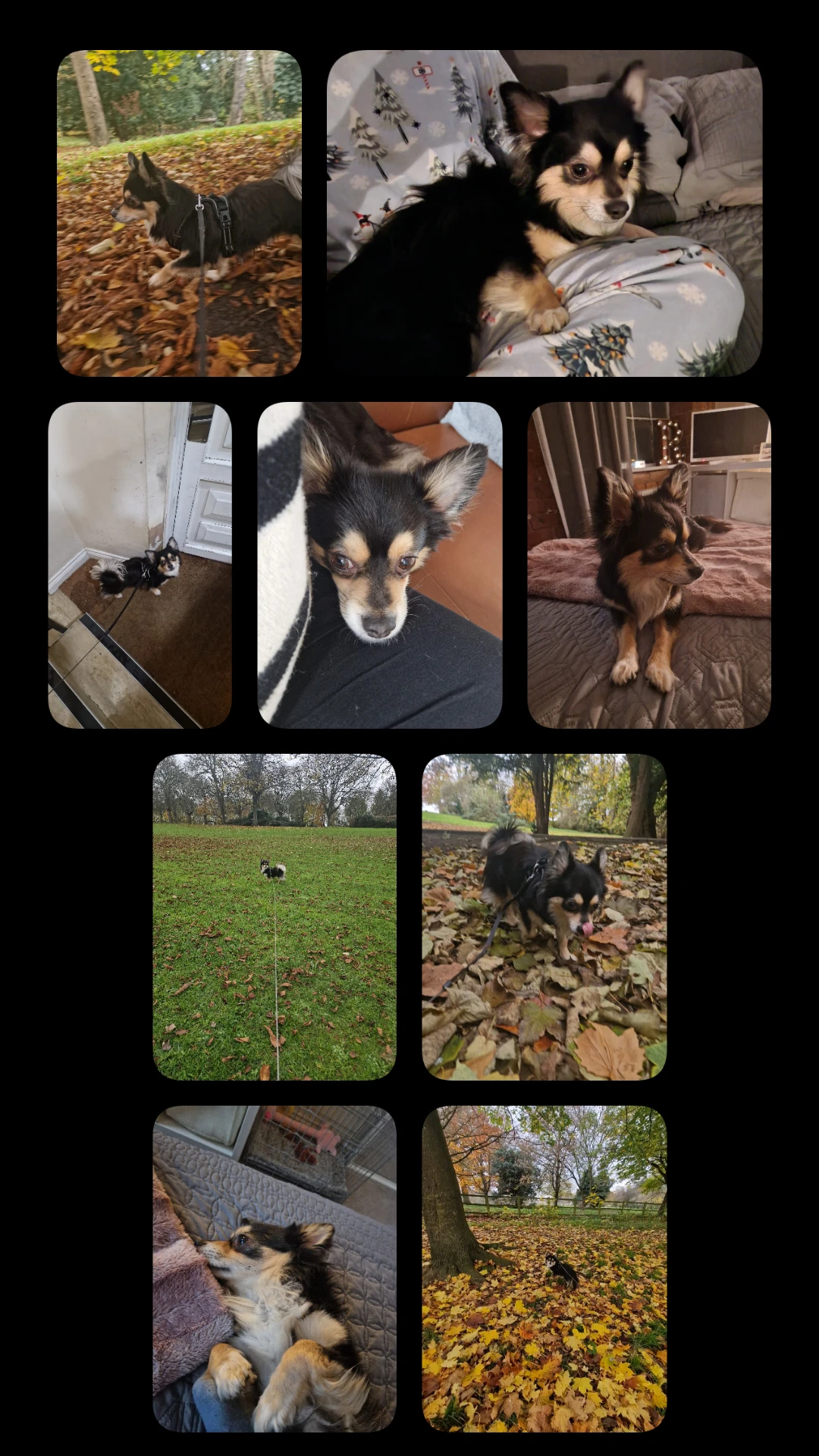 image-13