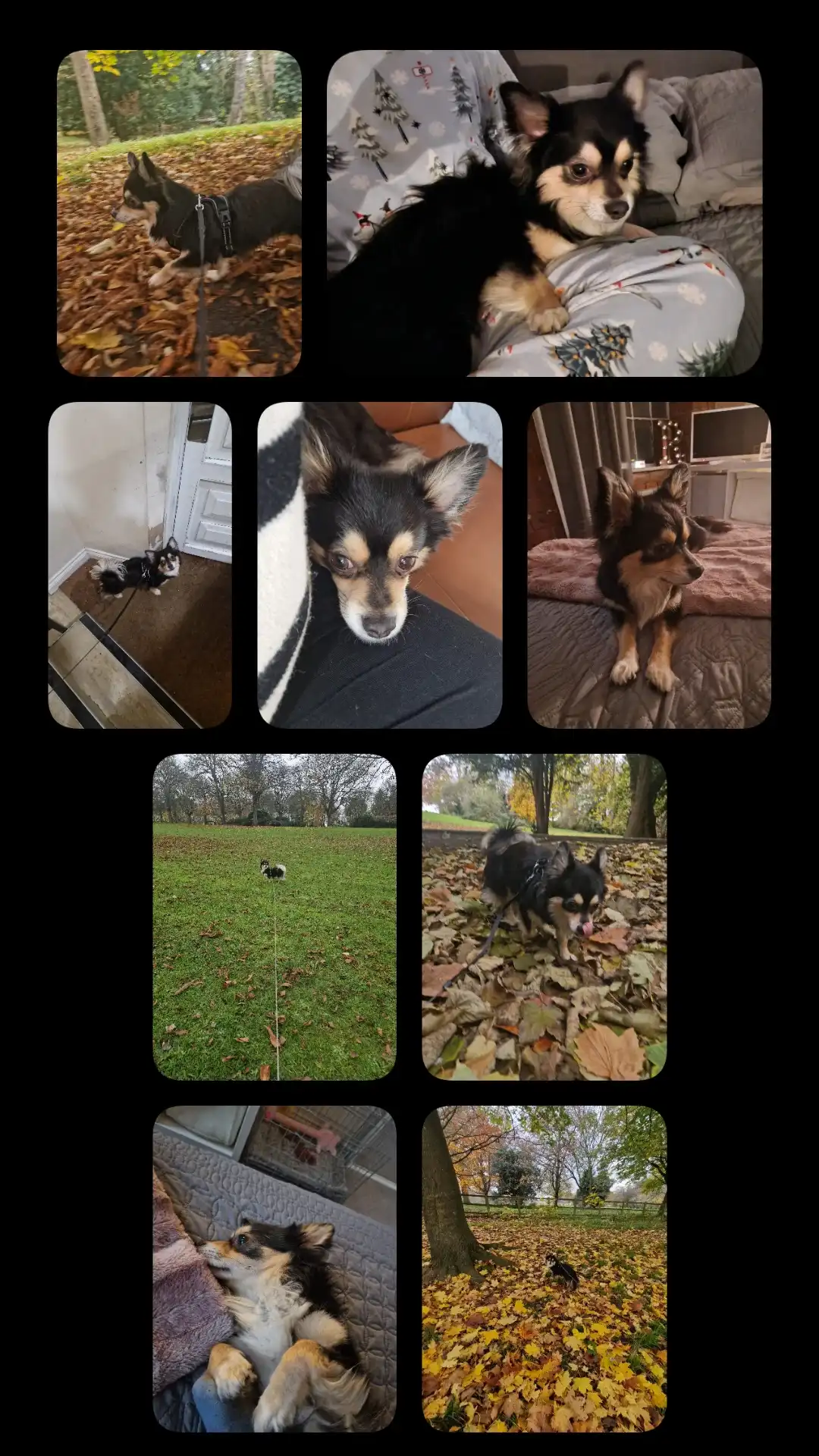 image-13