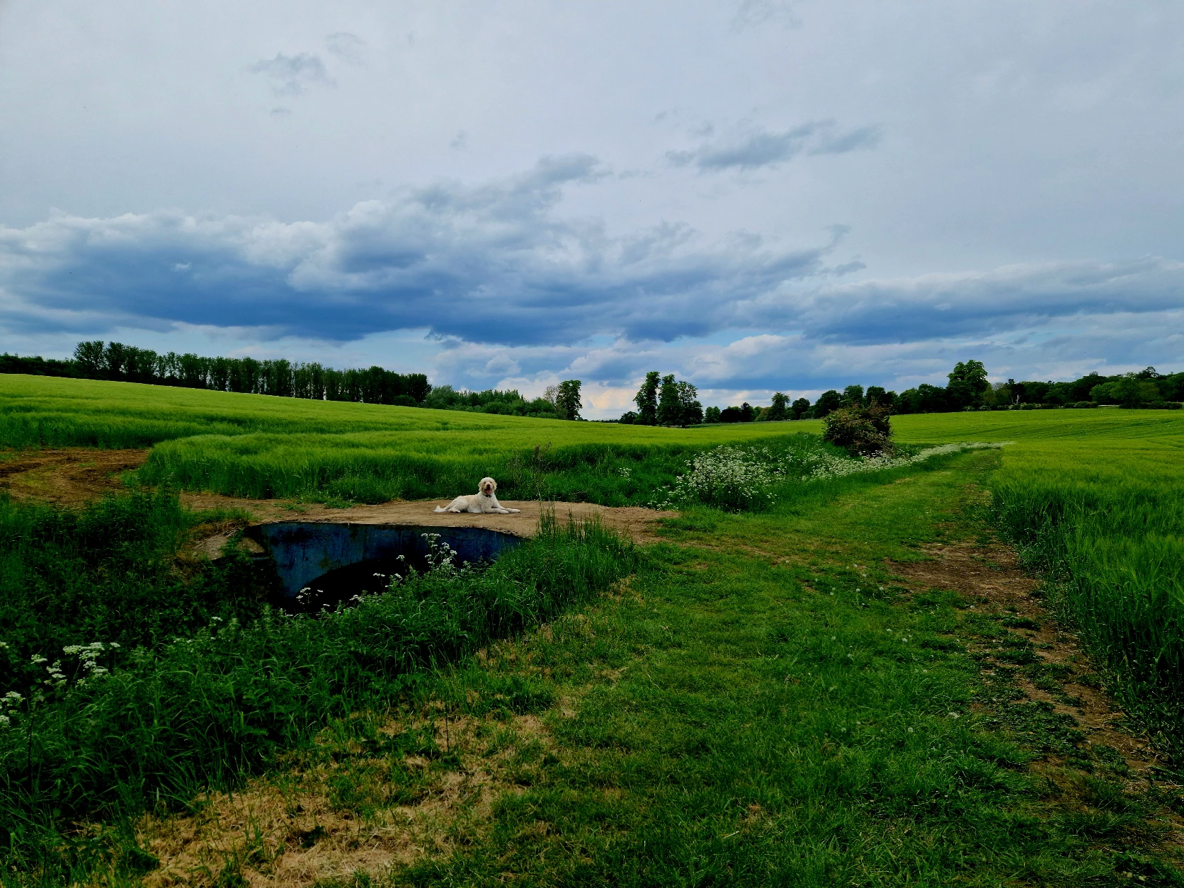 image-35