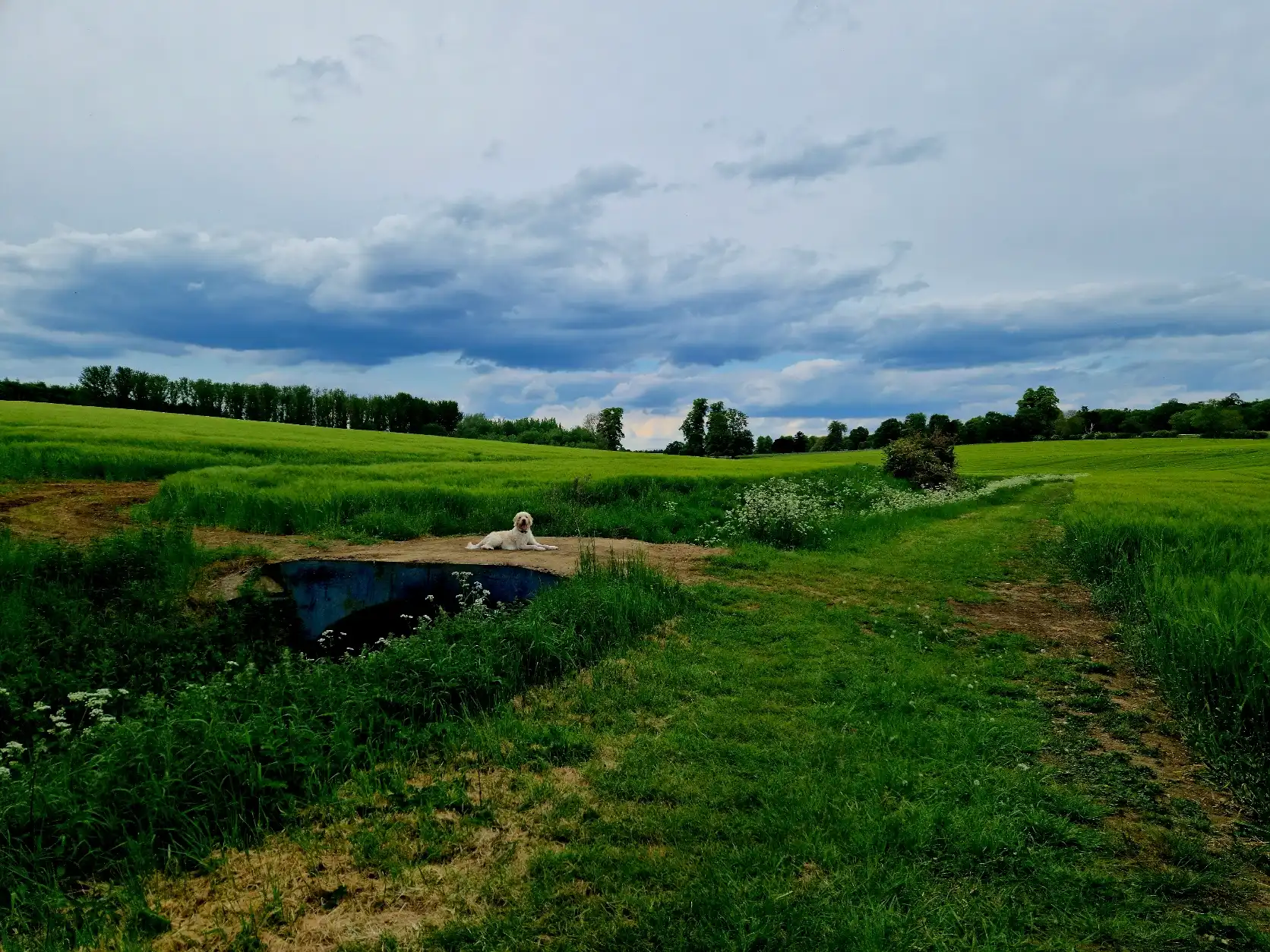 image-35