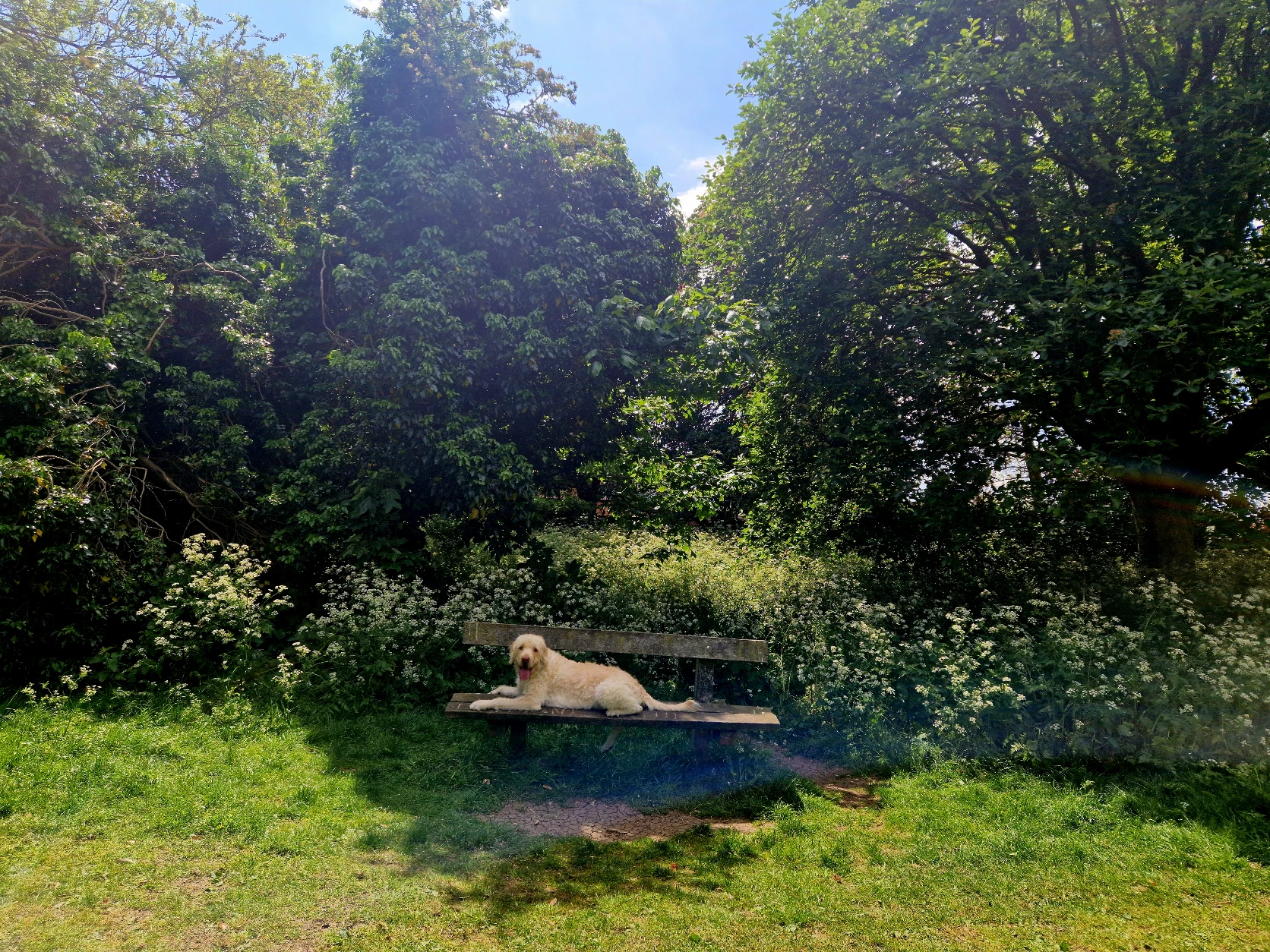 image-7