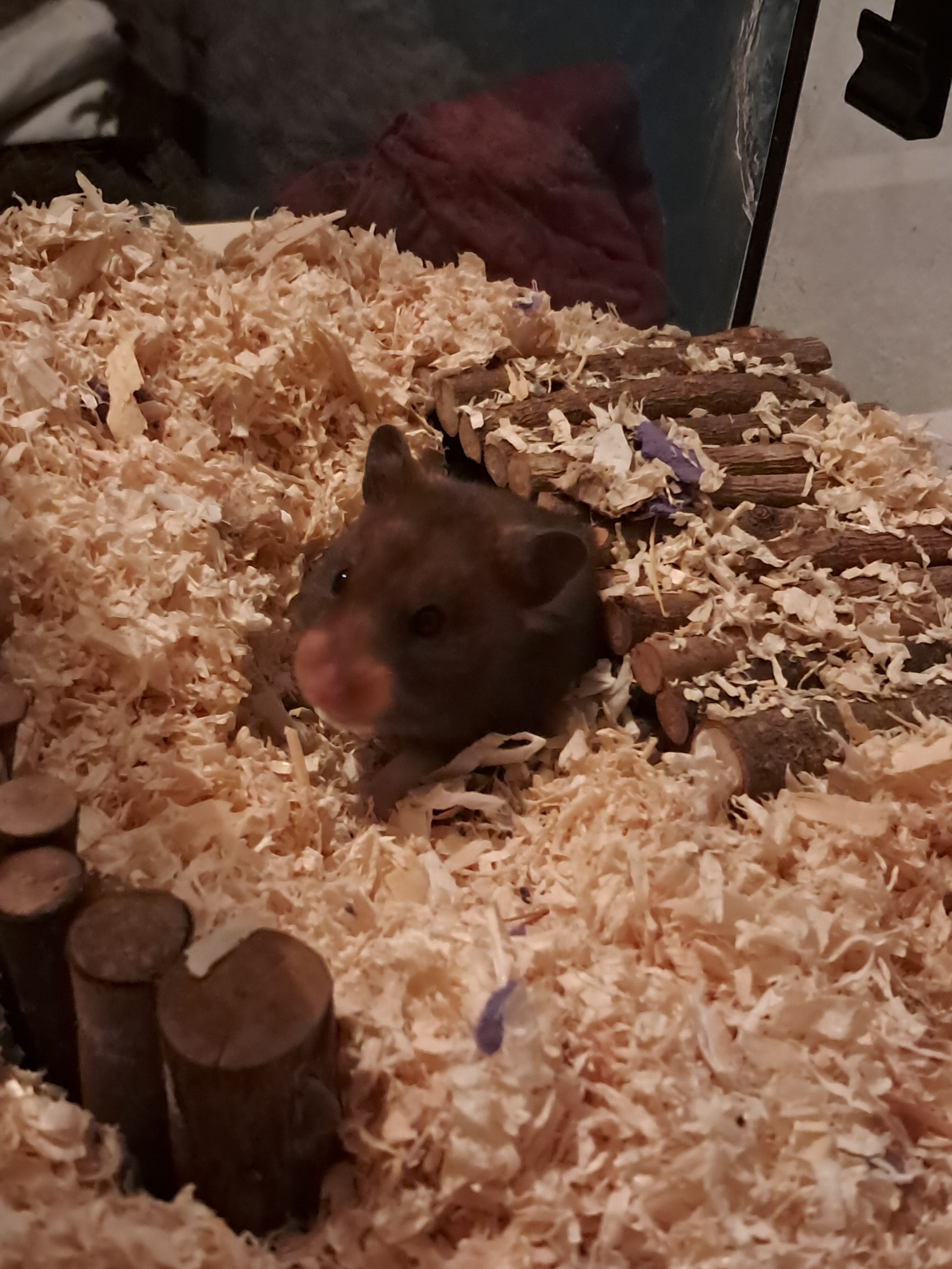 image-6