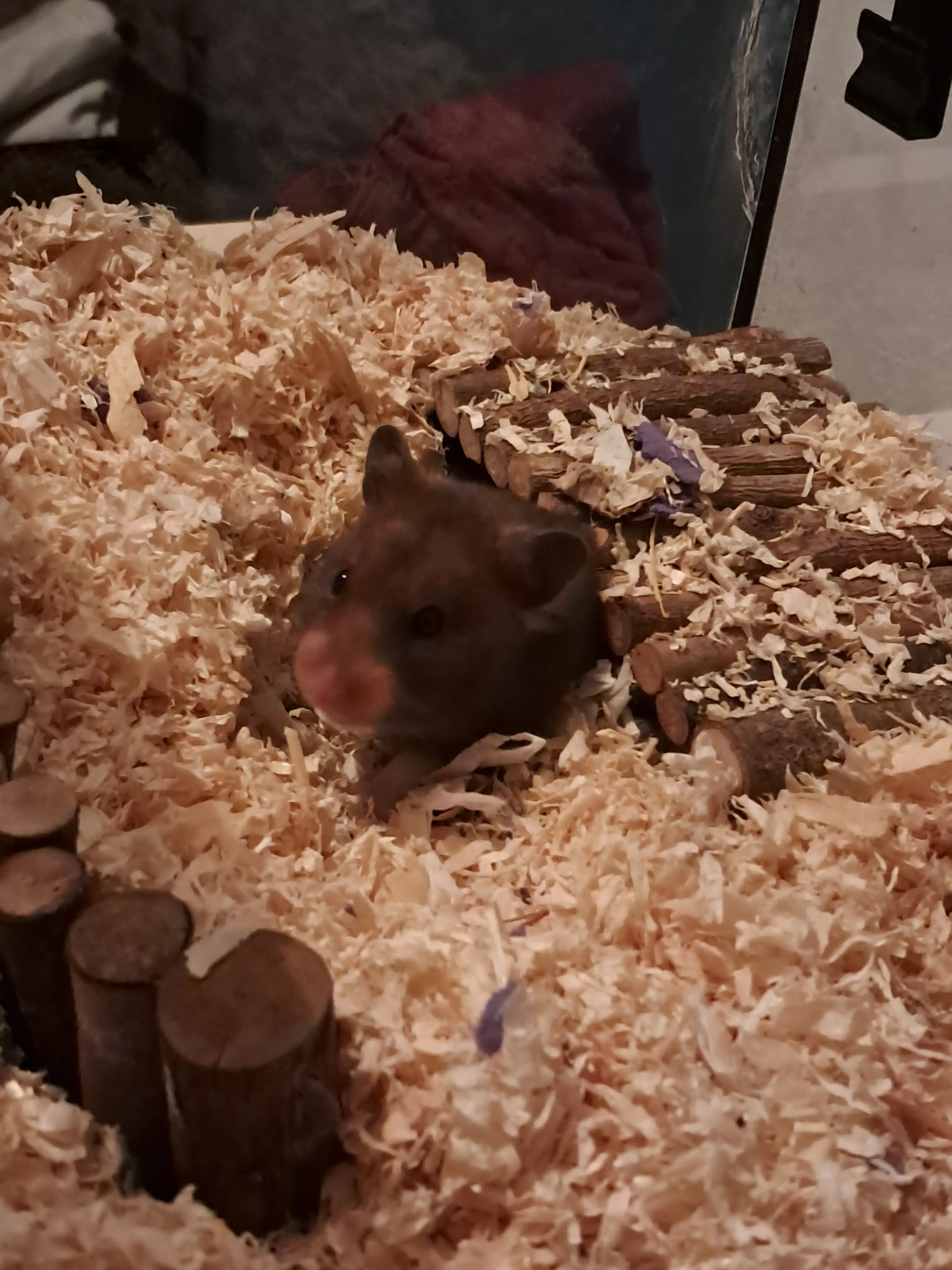 image-6