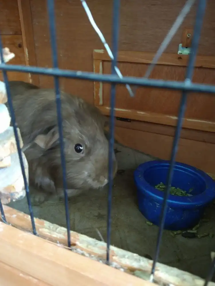 image-14