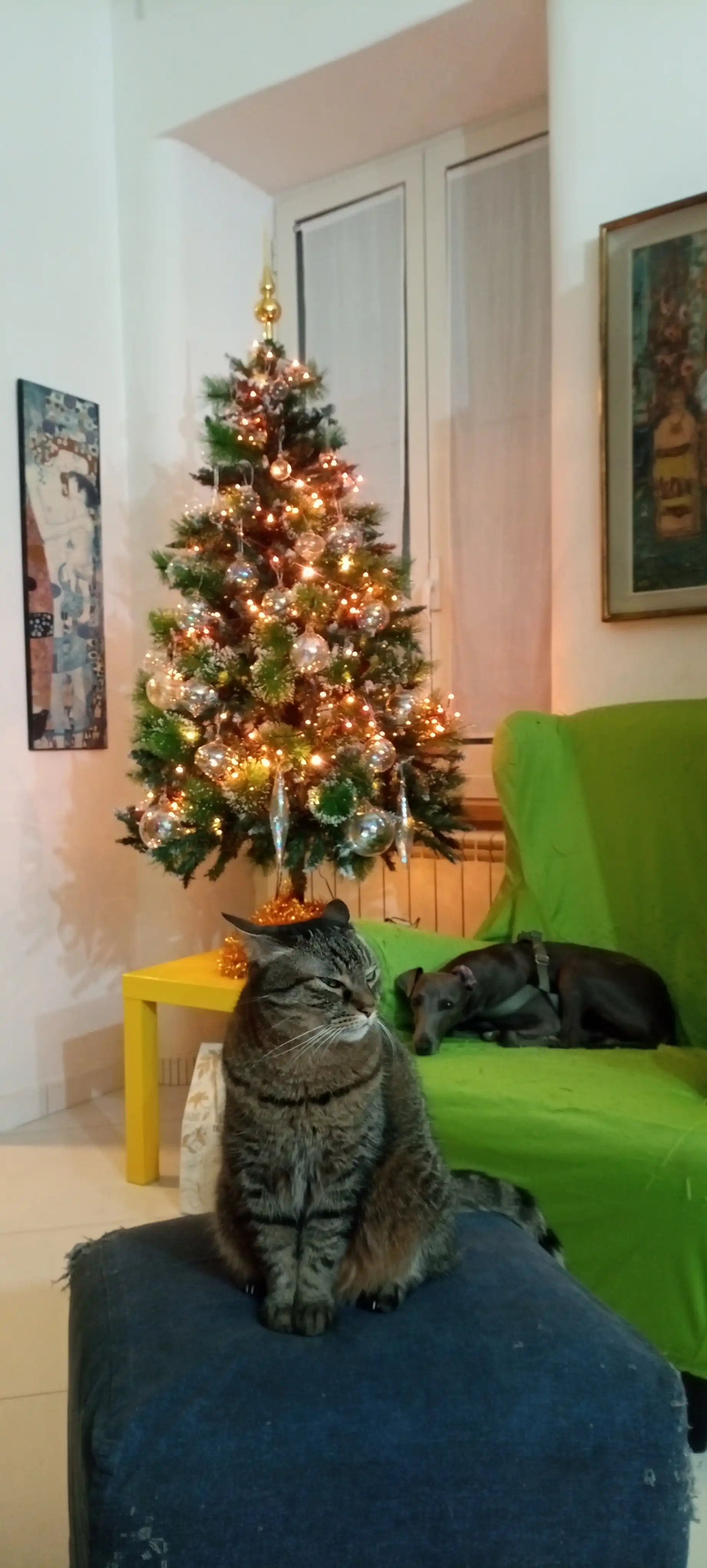 image-5