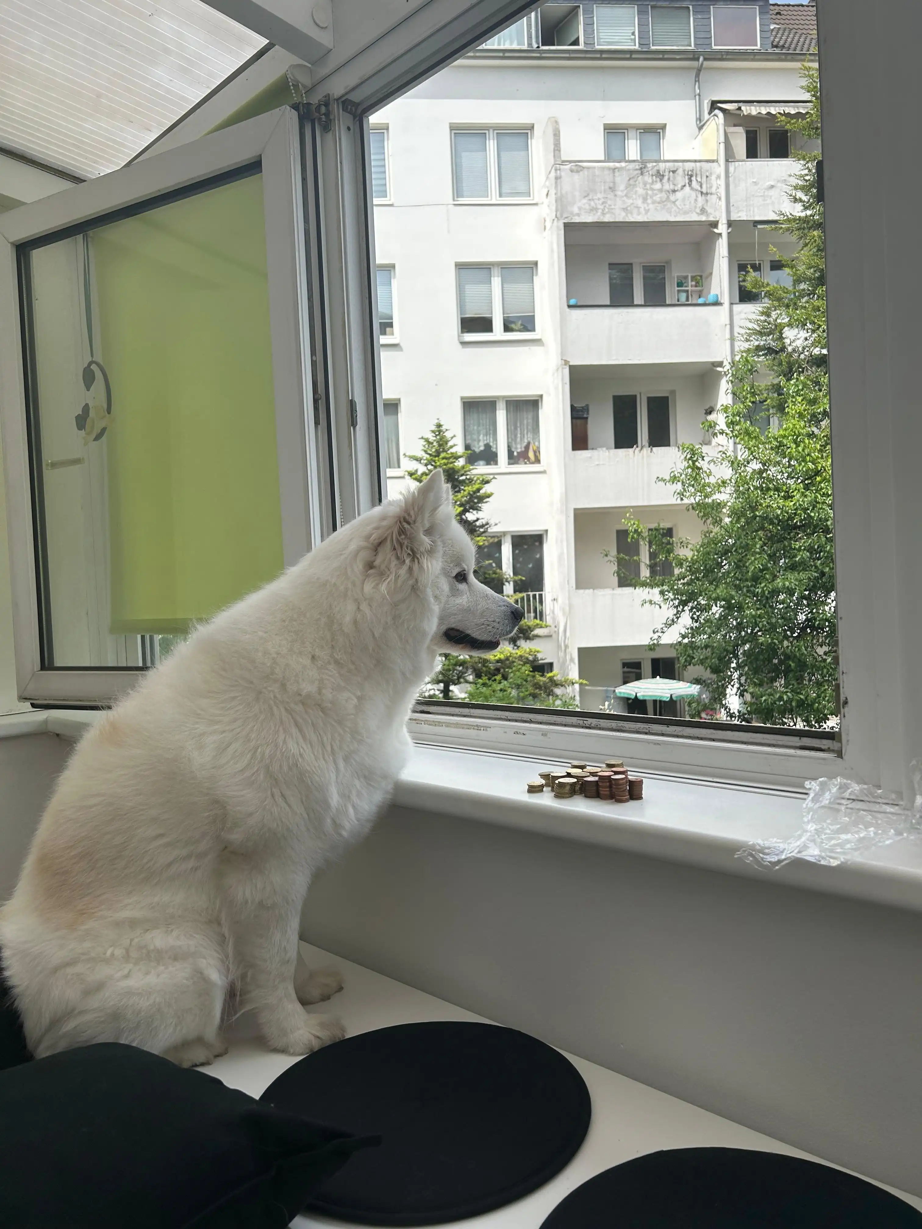 image-16