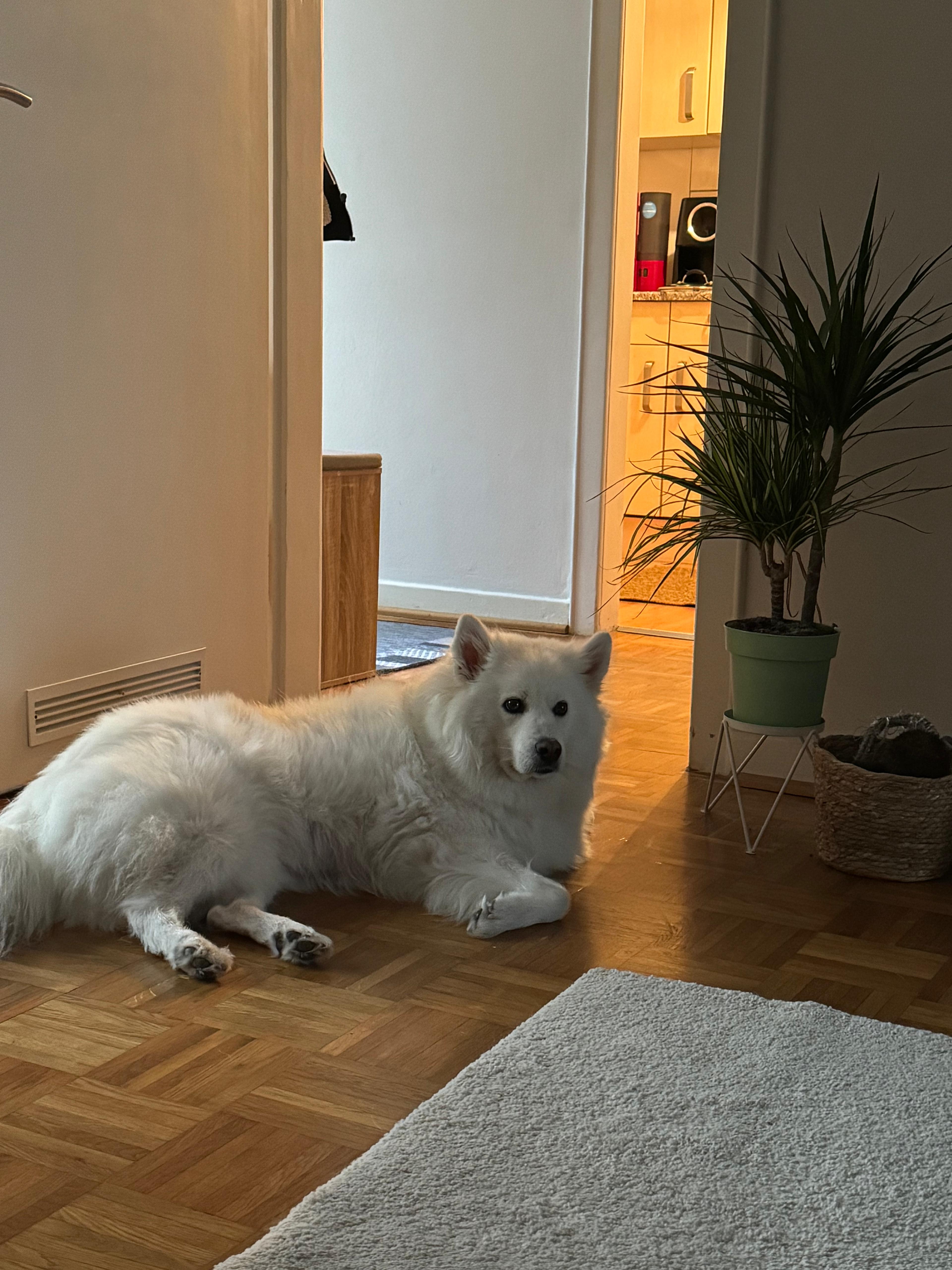 image-15