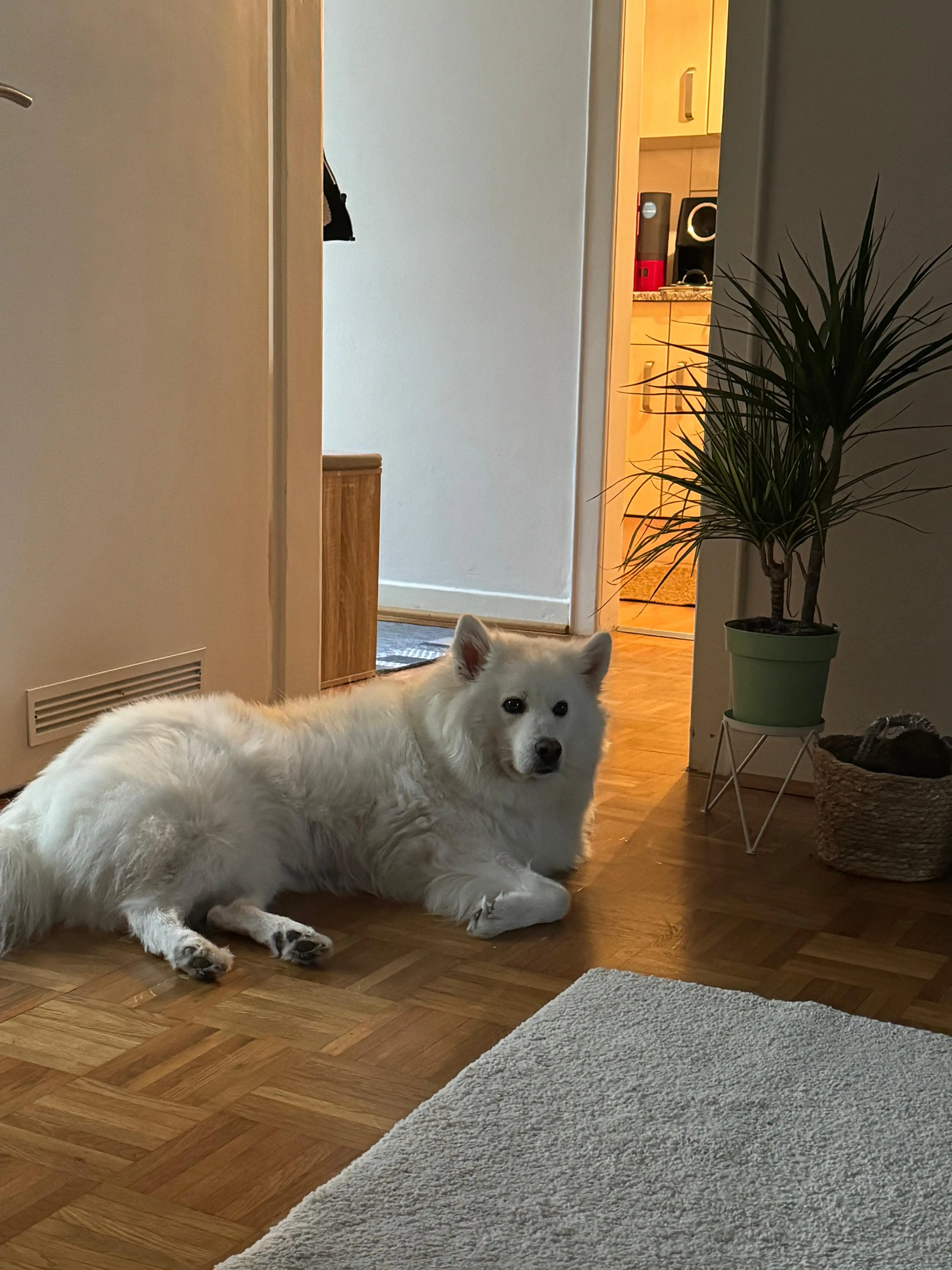 image-15