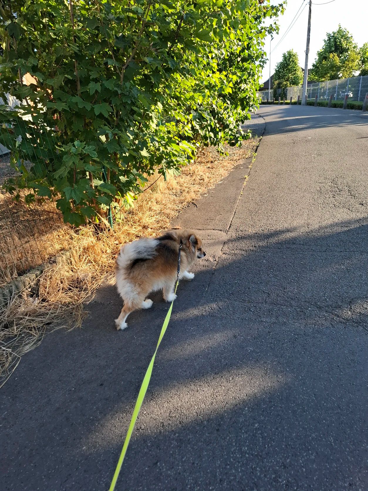 image-8