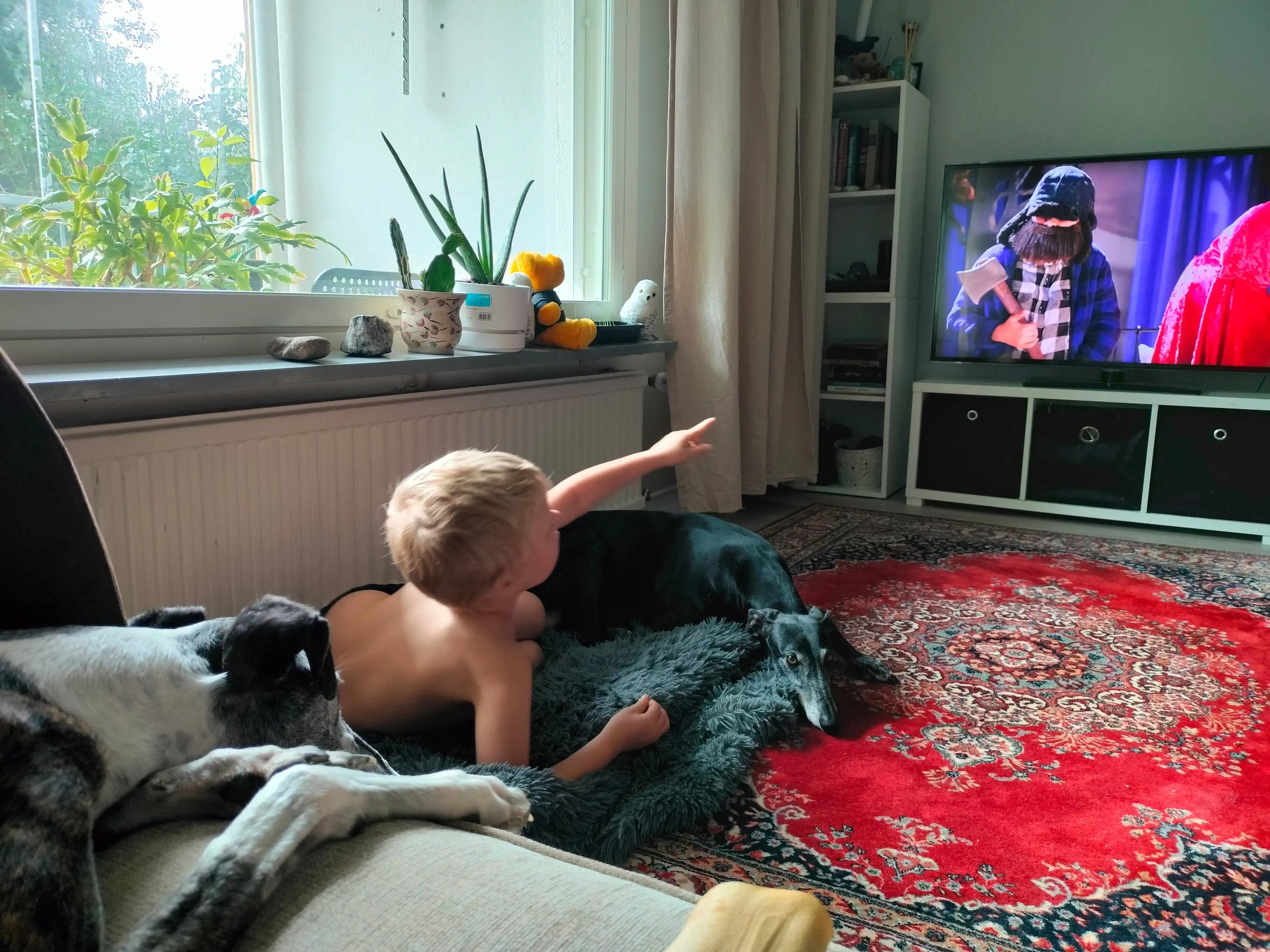 image-18