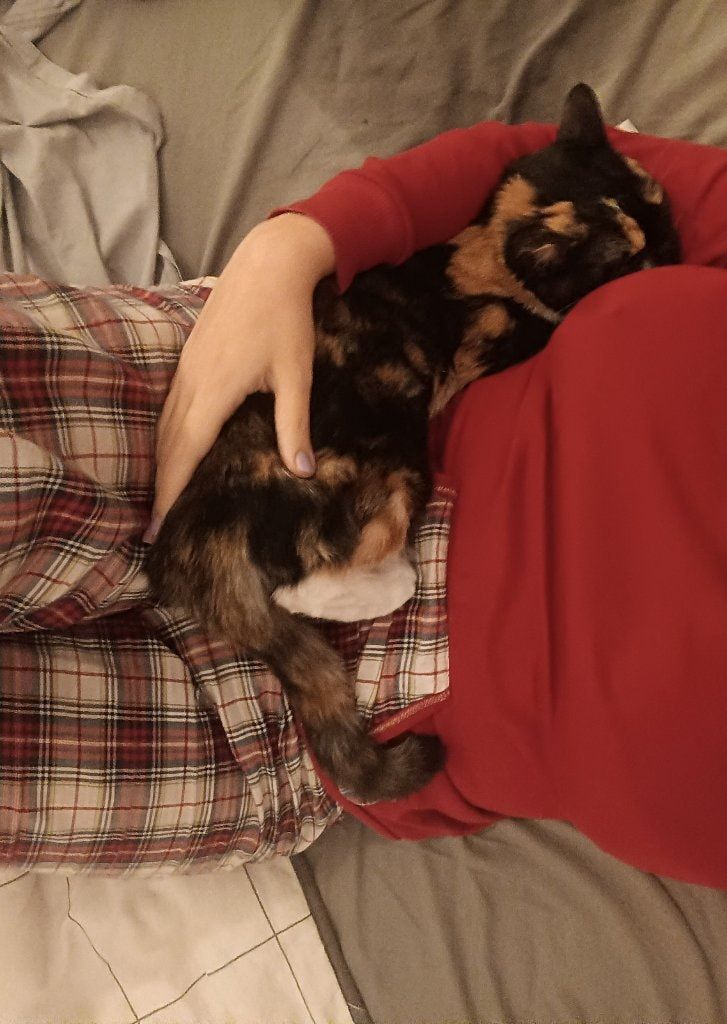 image-8