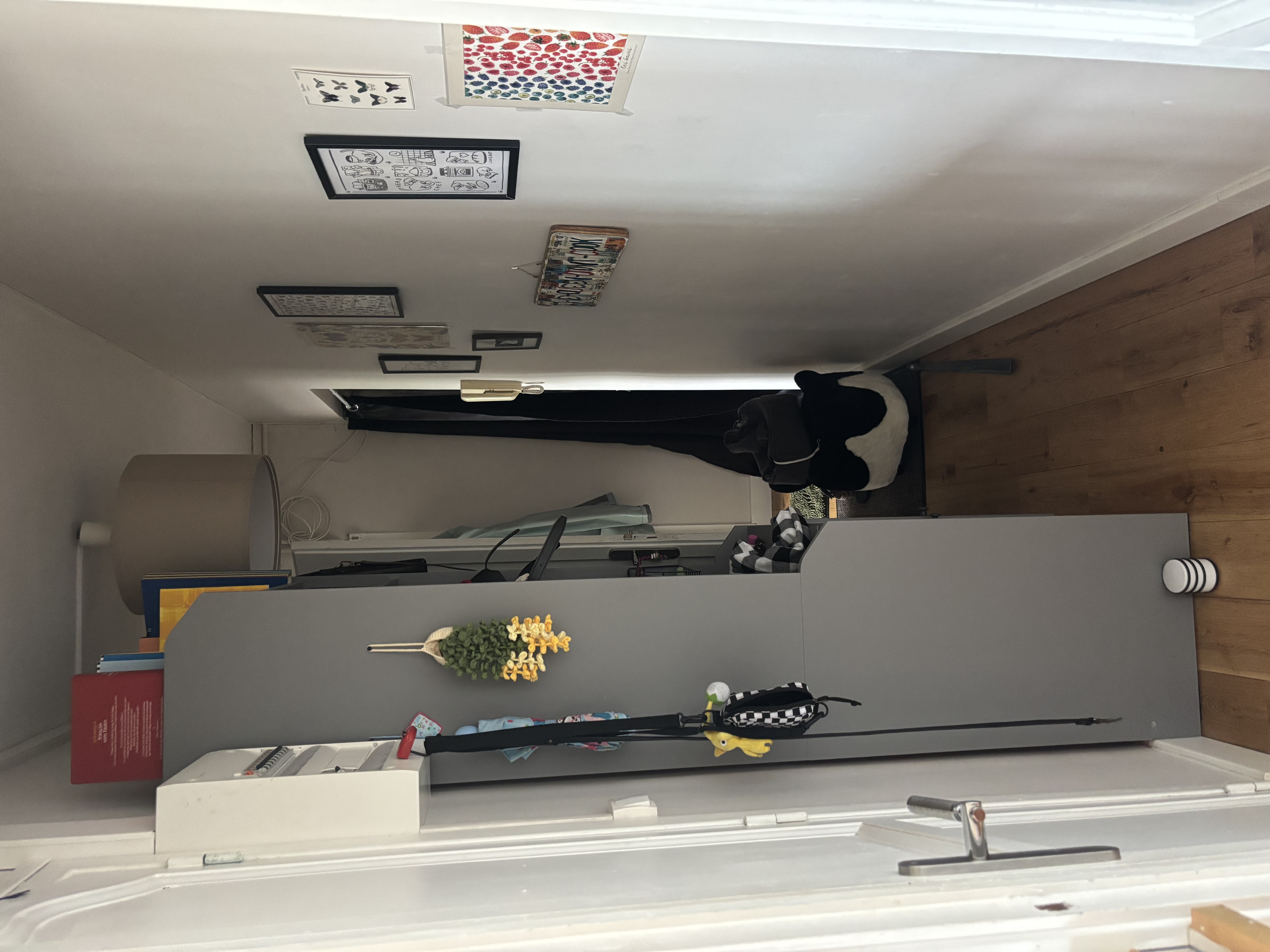 image-19