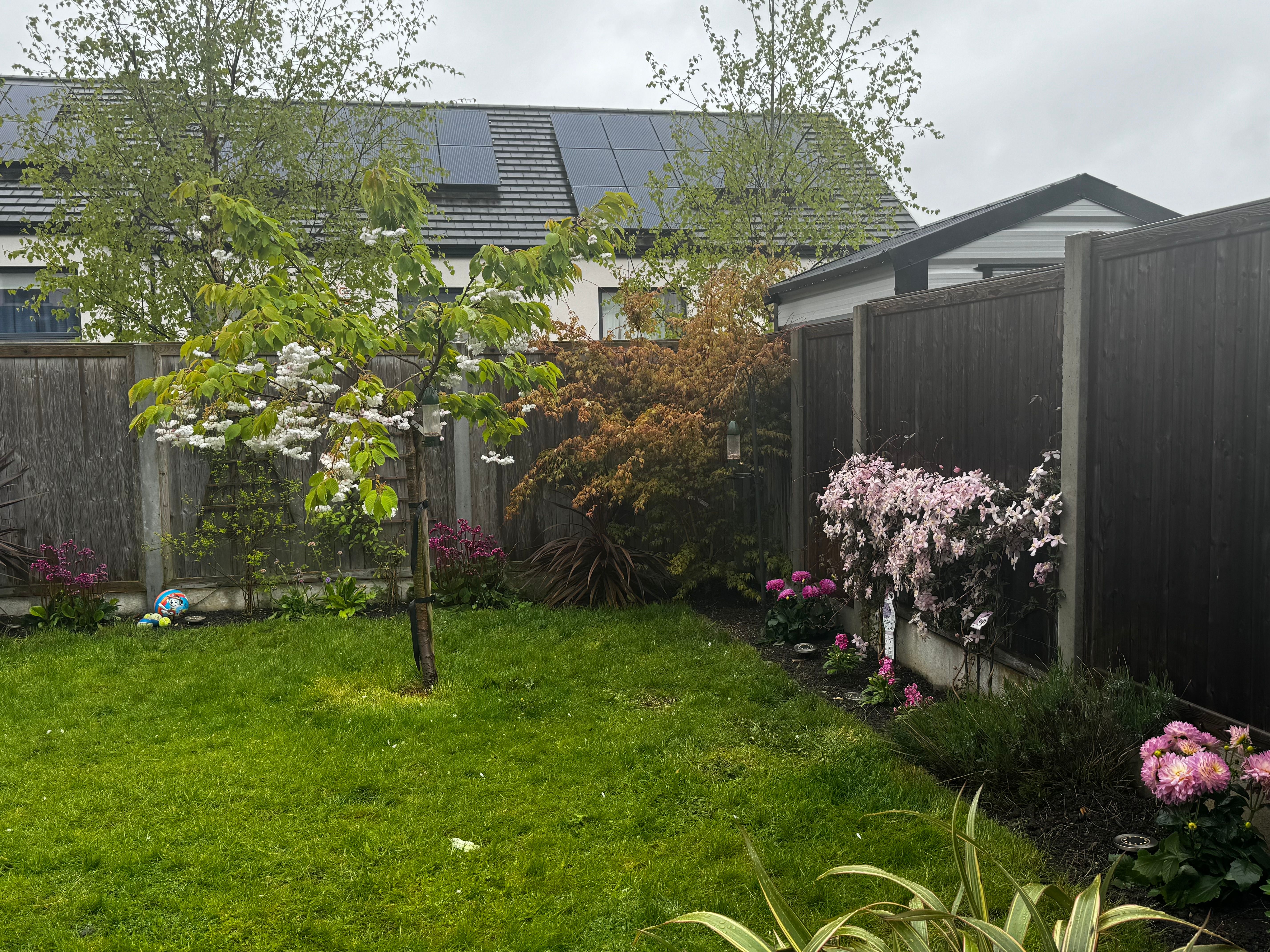 image-17