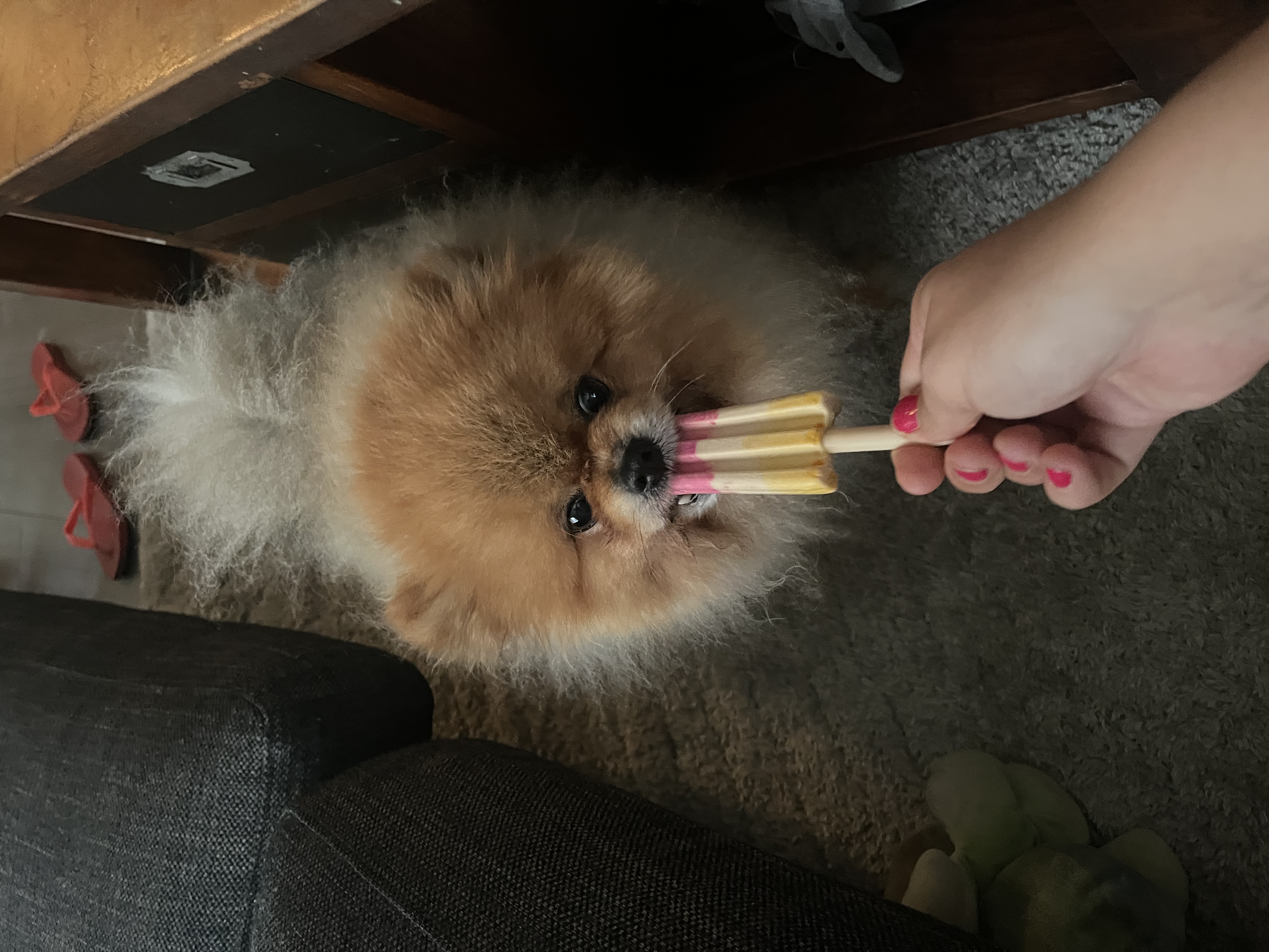 image-6