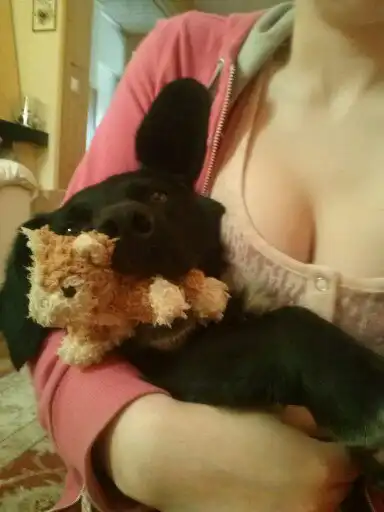 image-8