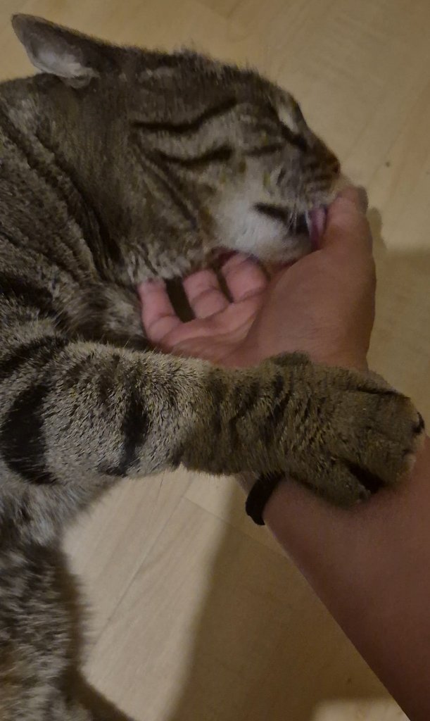 image-5