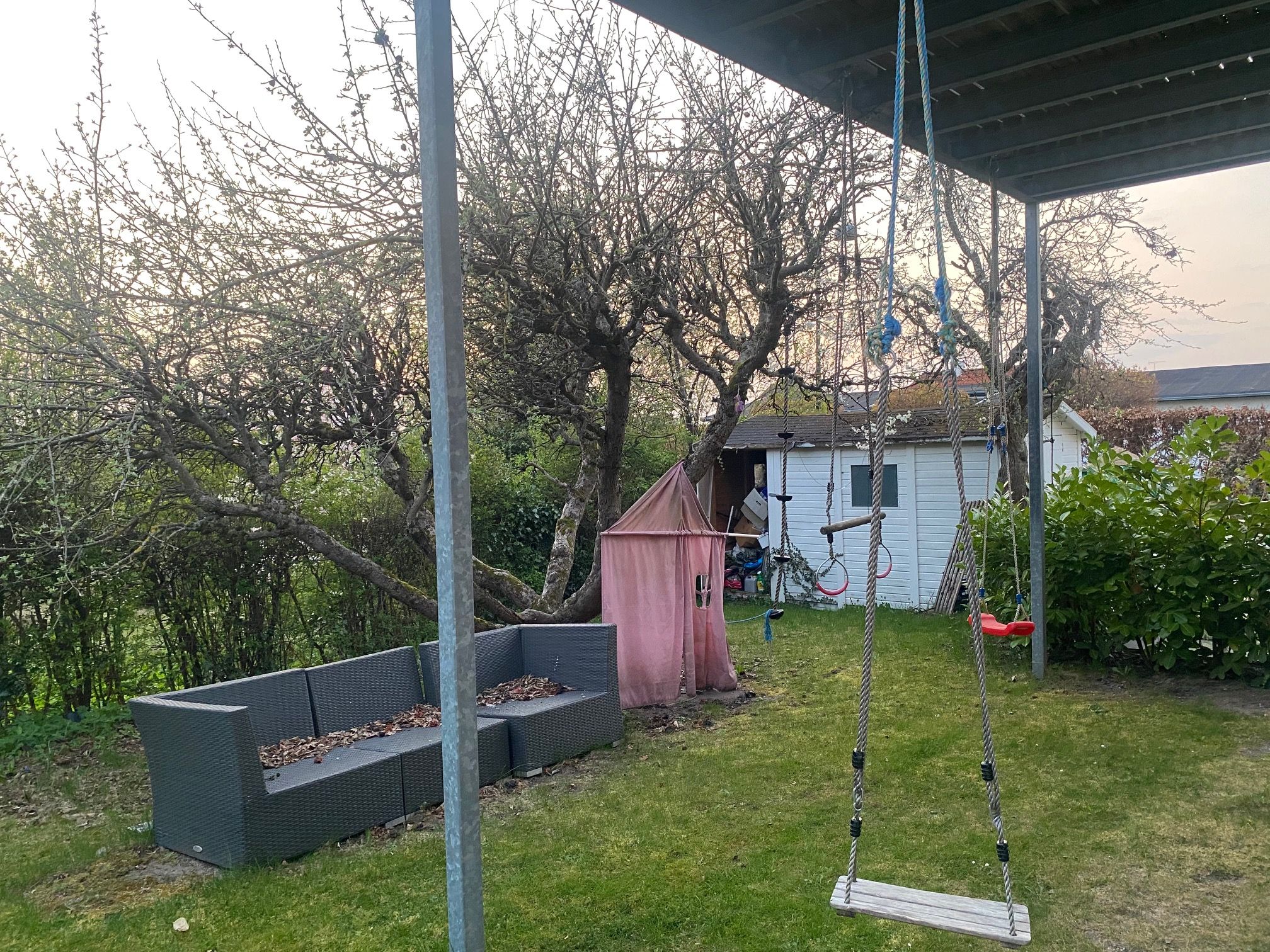 image-19