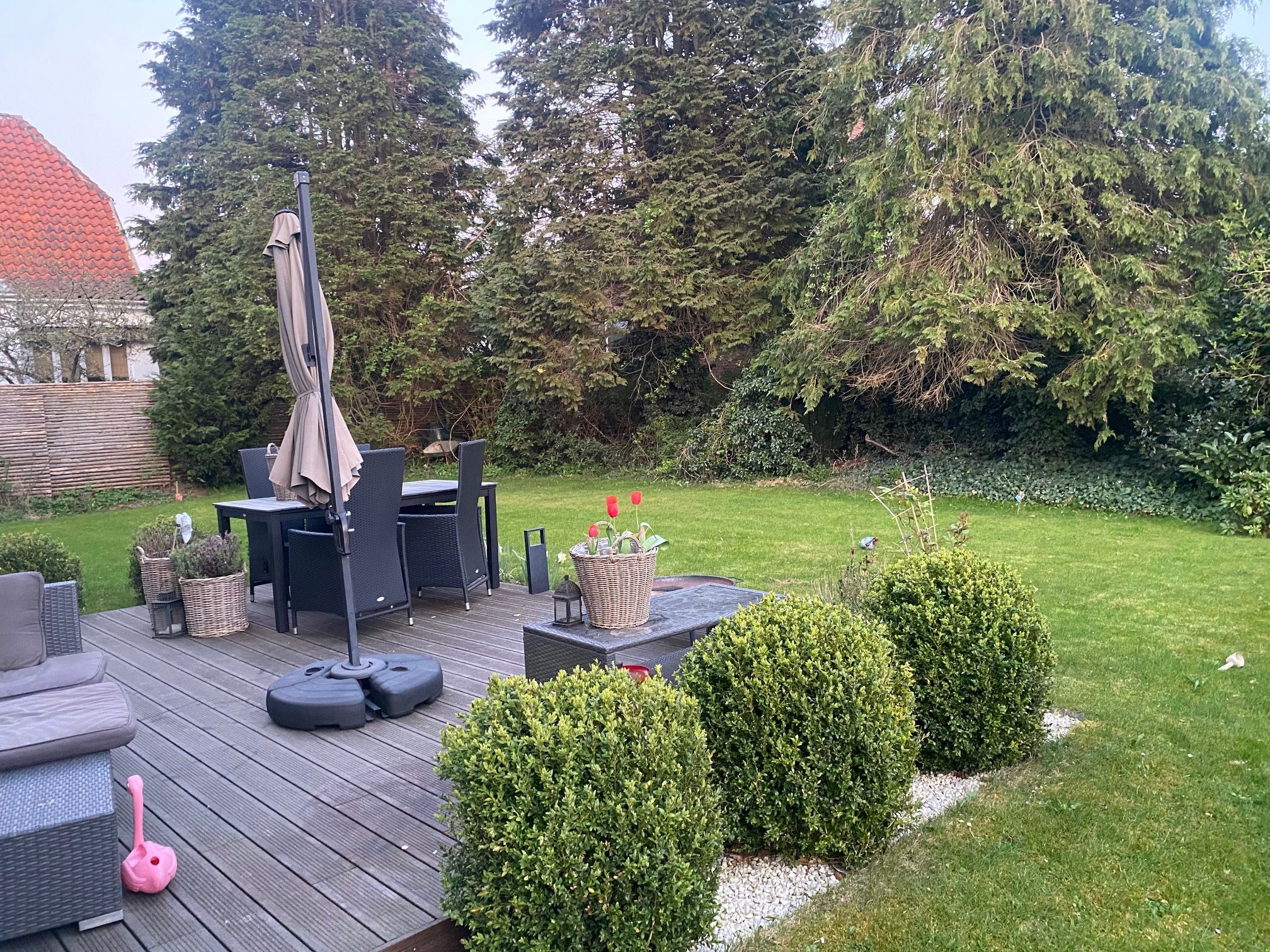 image-18