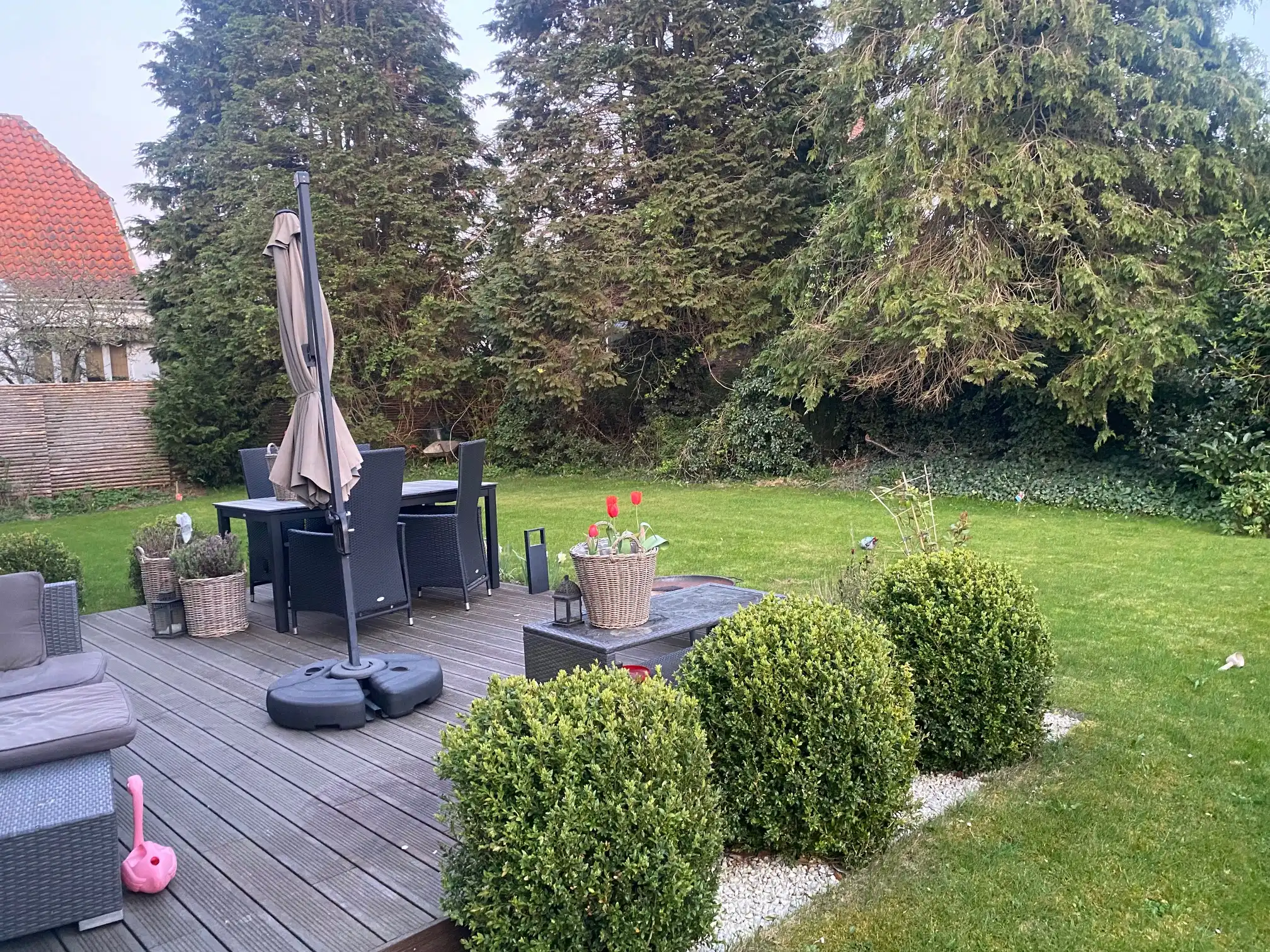 image-18
