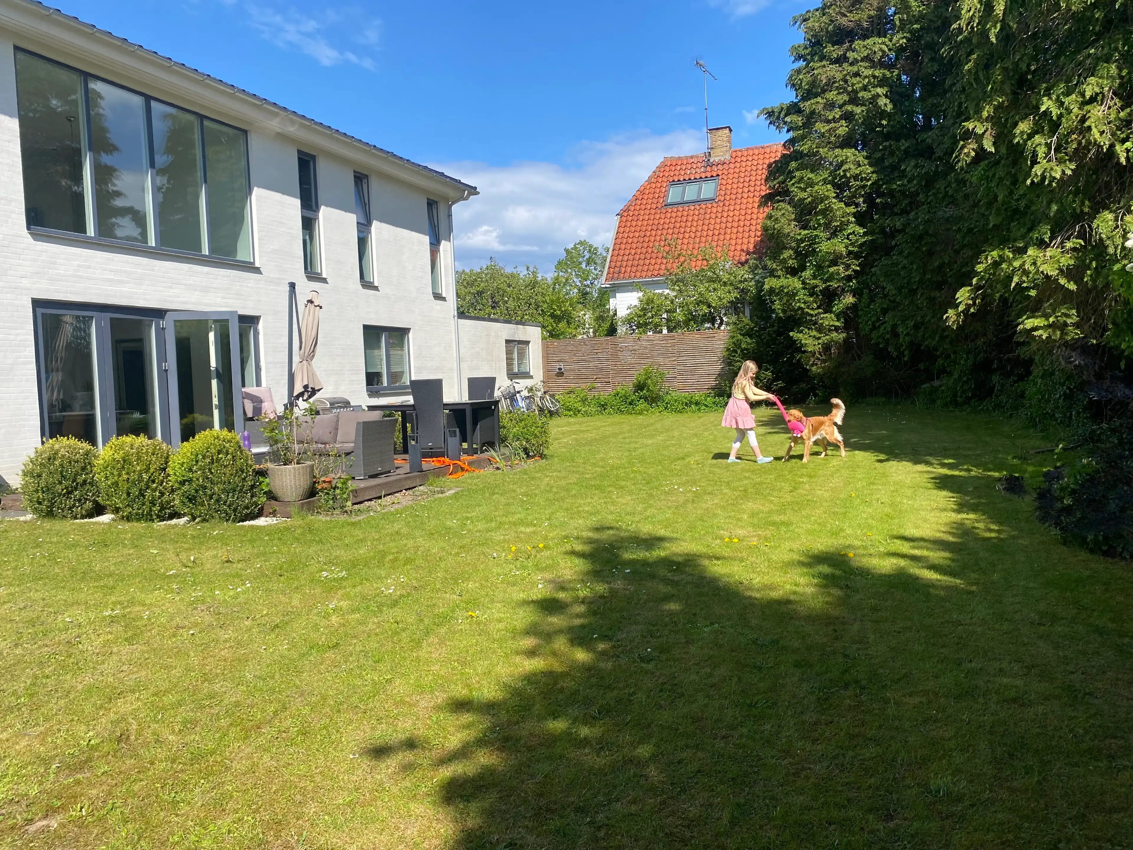 image-17