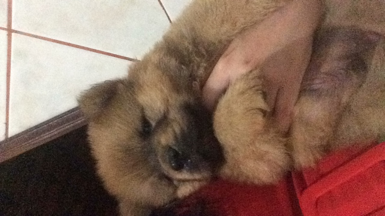 image-4