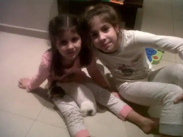 image-8