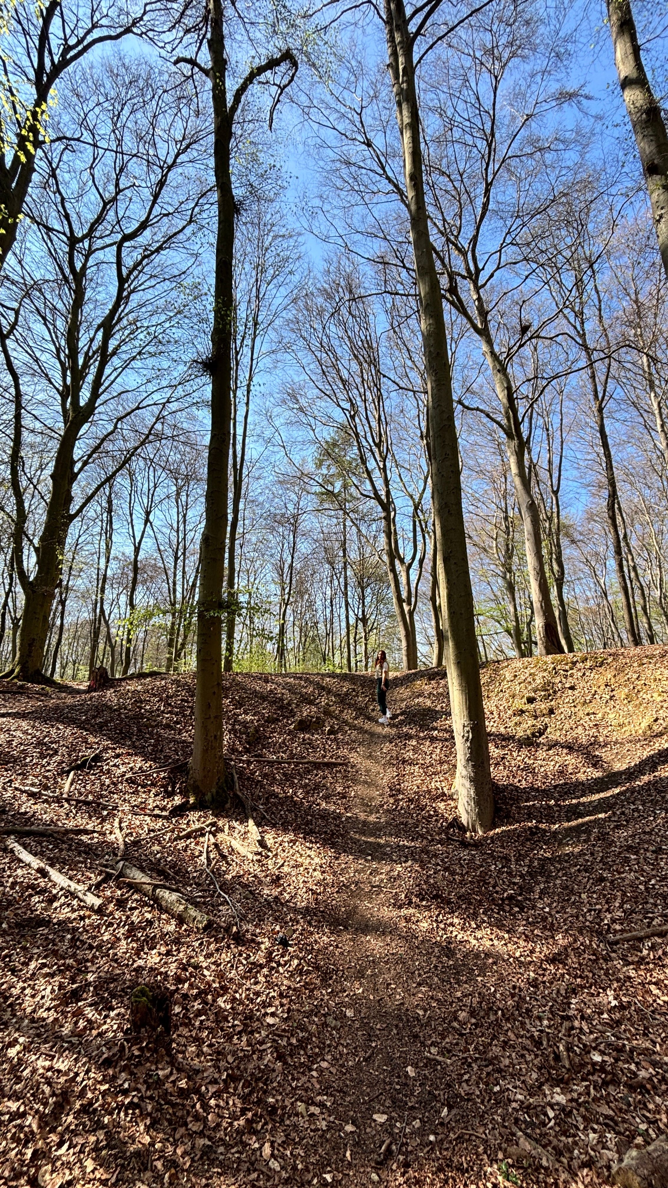 image-15