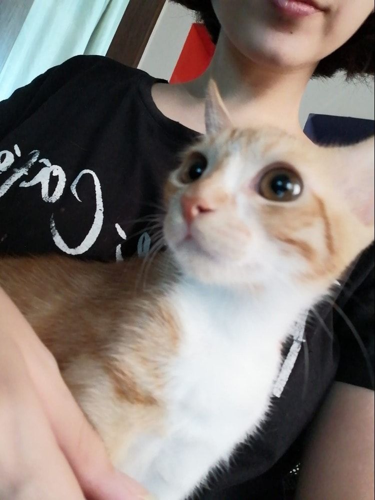 image-4