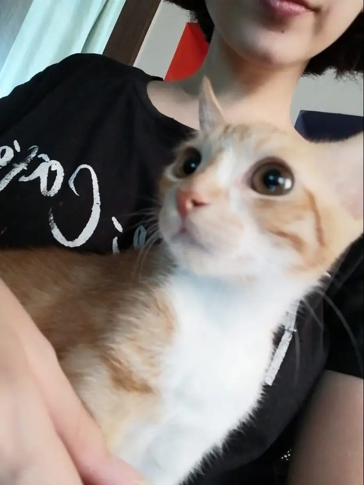 image-4